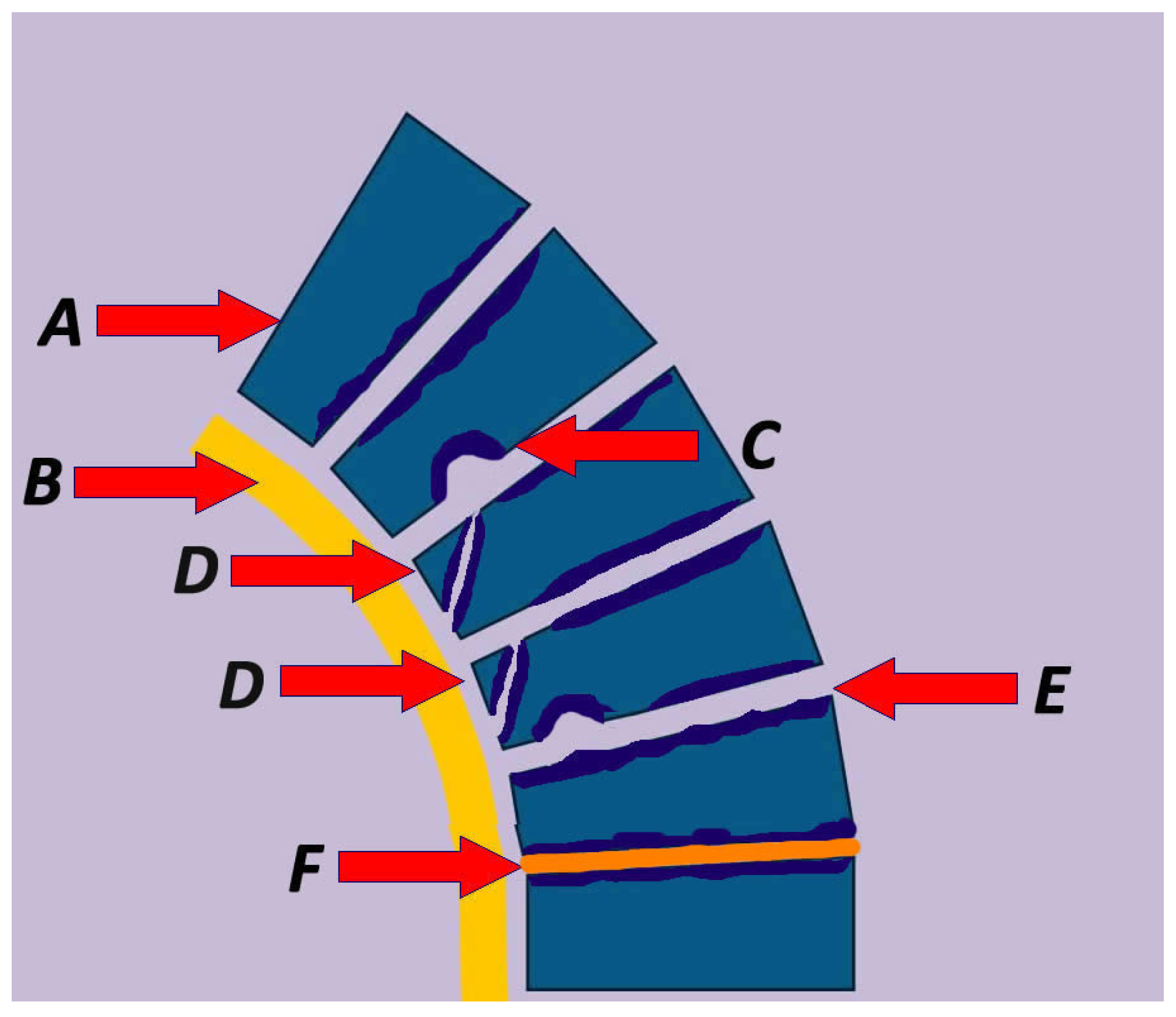 Biomolecules 16 00056 g002 Biomolecules 16 00056 g002