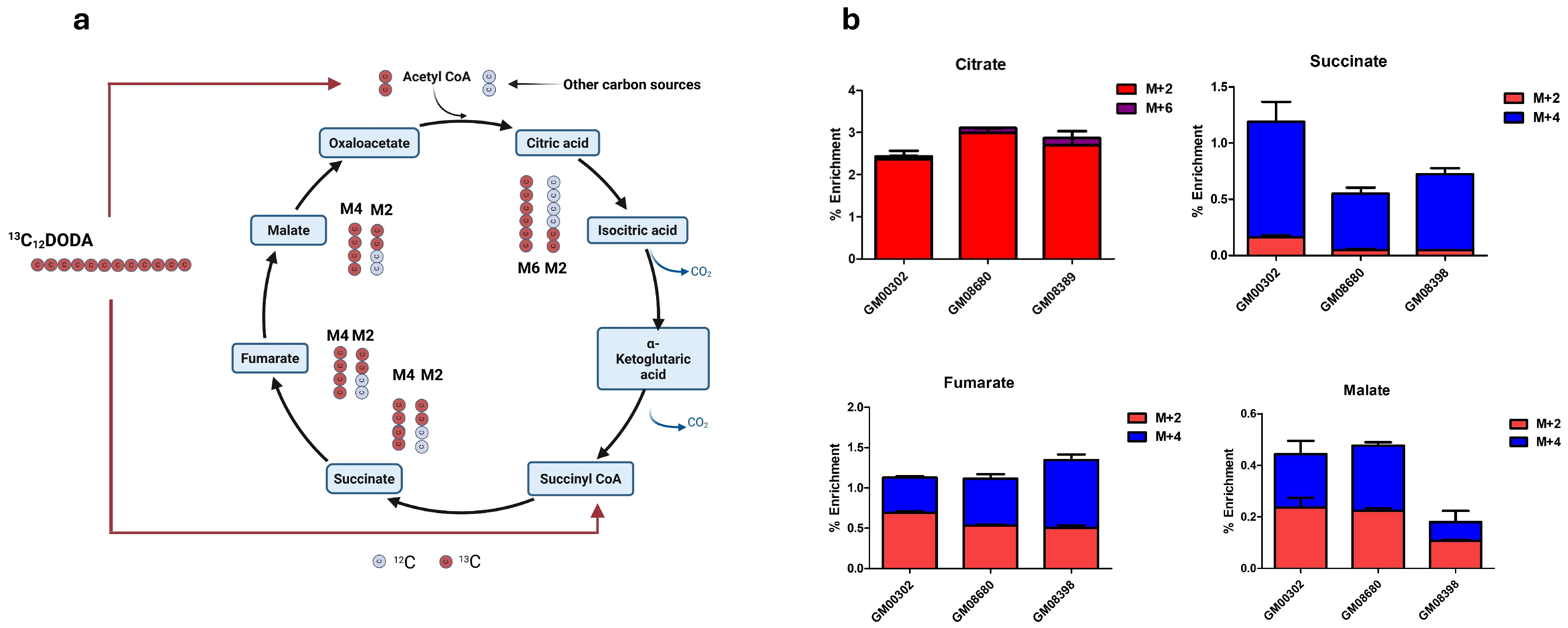 Biomolecules 16 00057 g002 Biomolecules 16 00057 g002
