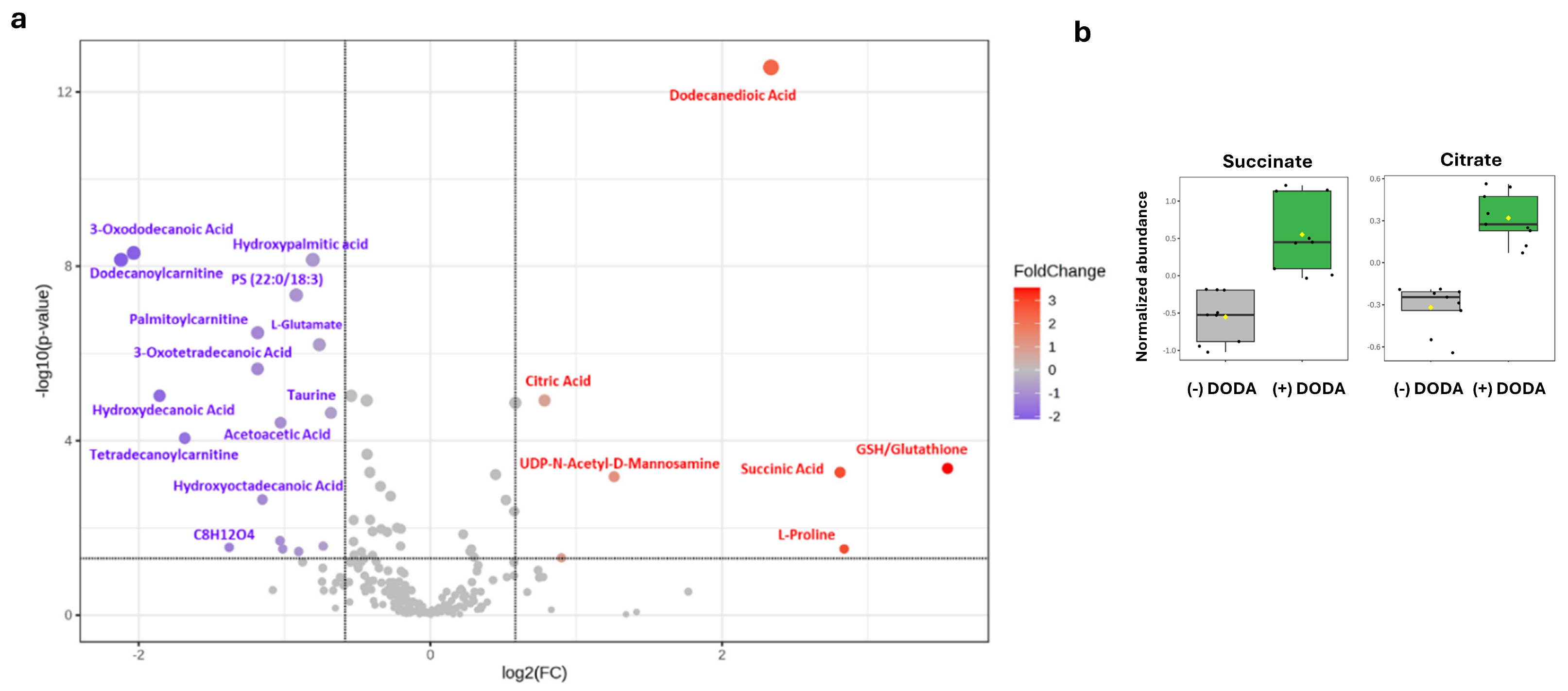 Biomolecules 16 00057 g004 Biomolecules 16 00057 g004