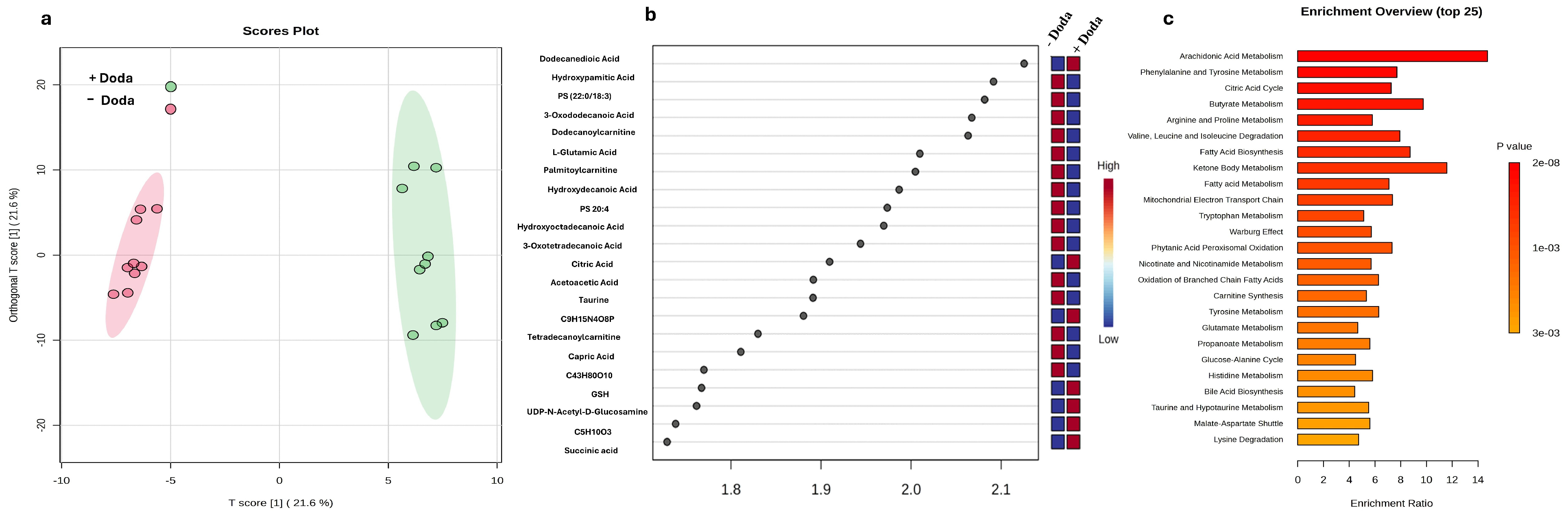 Biomolecules 16 00057 g005 Biomolecules 16 00057 g005