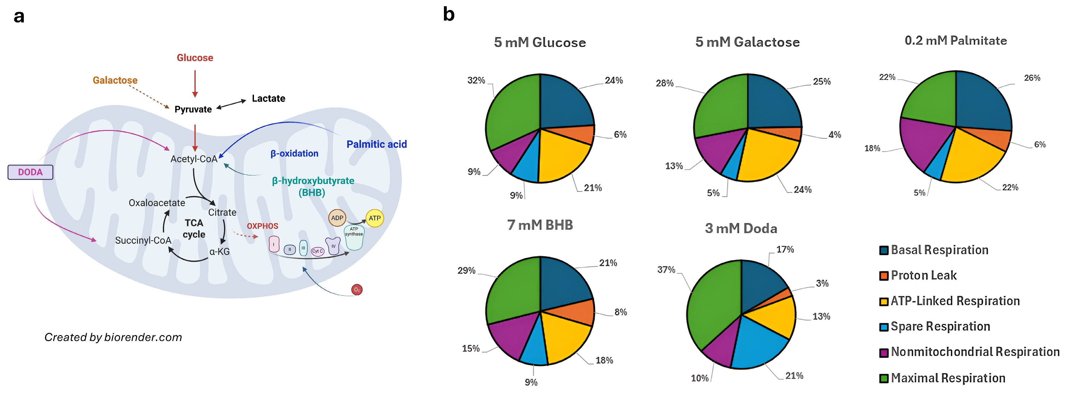 Biomolecules 16 00057 g009 Biomolecules 16 00057 g009