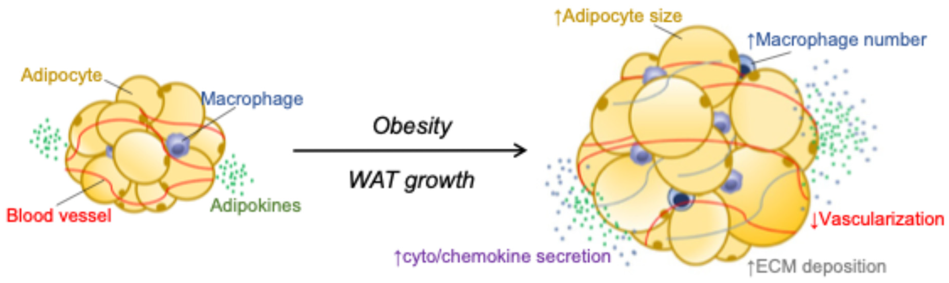 Biomolecules 16 00059 g001 Biomolecules 16 00059 g001