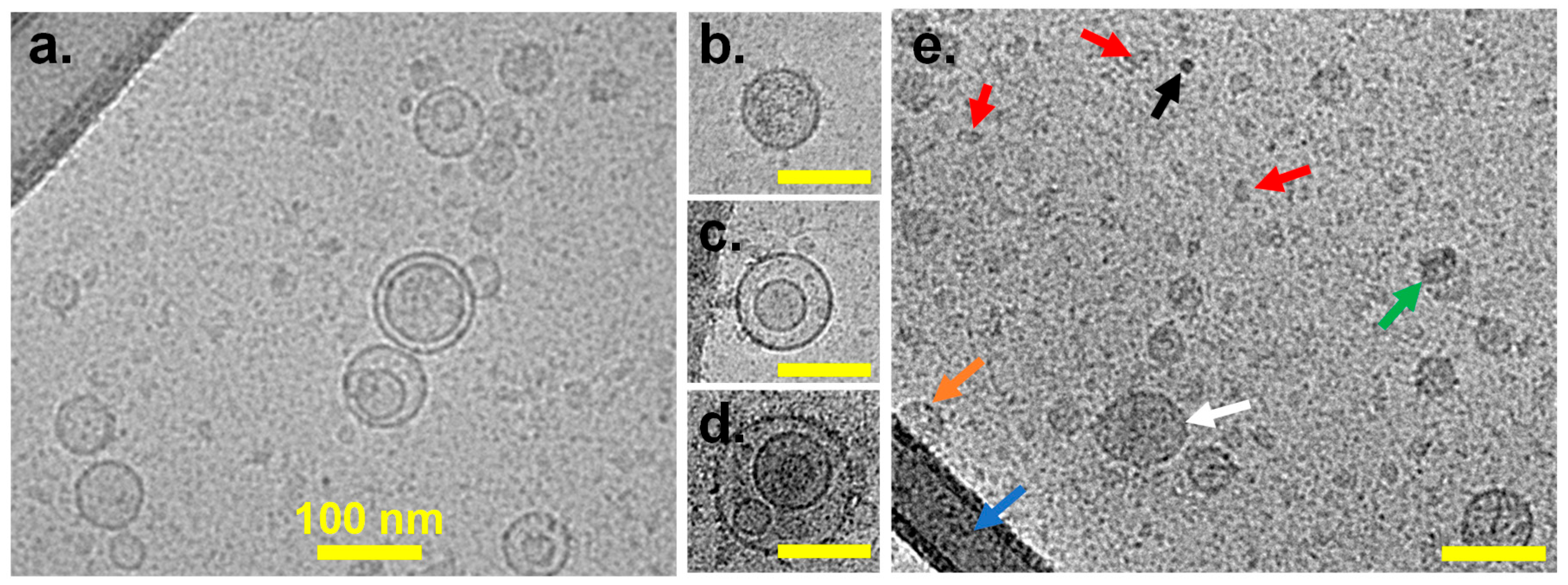 Biomolecules 16 00066 g001 Biomolecules 16 00066 g001