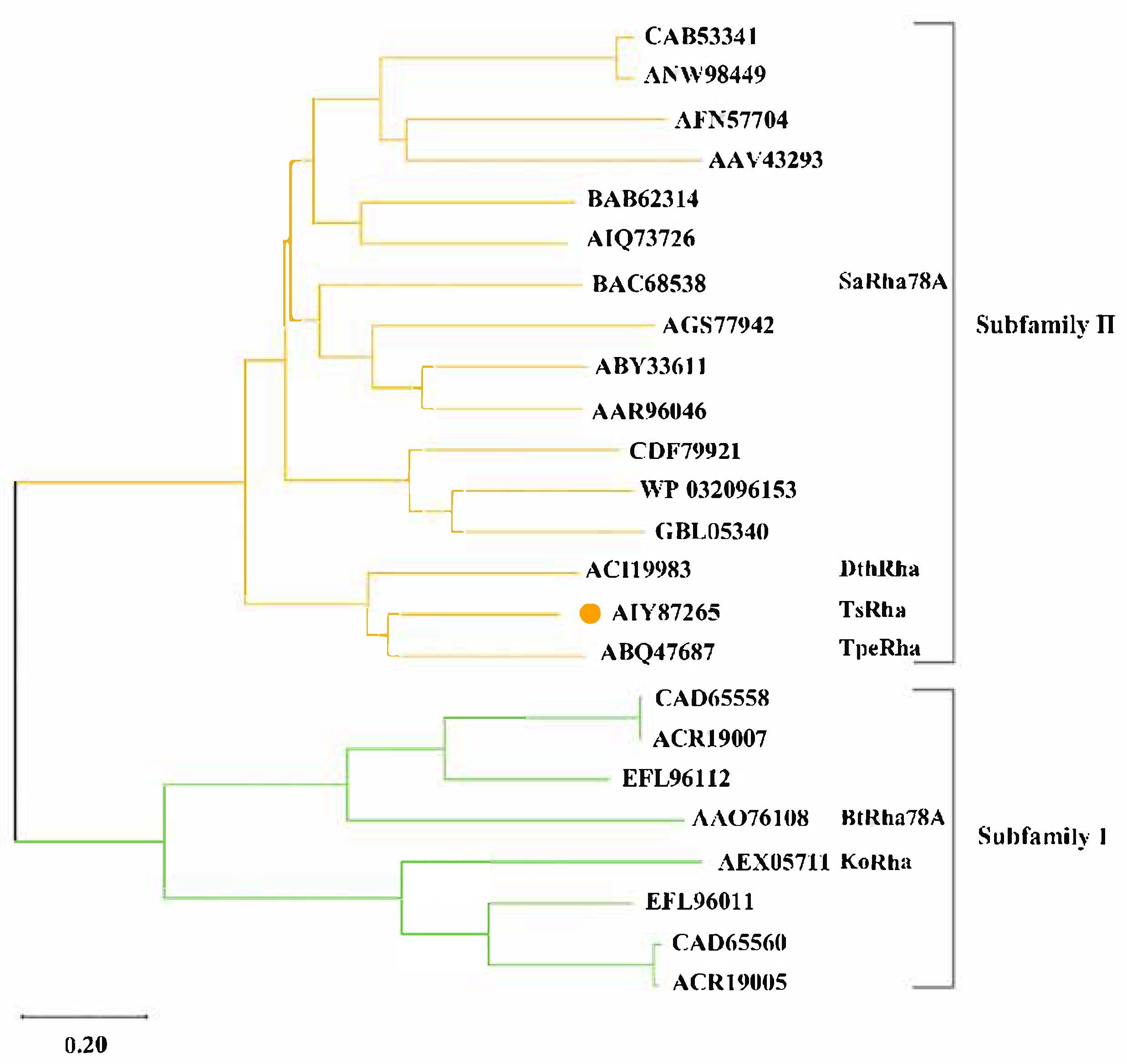 Biomolecules 16 00068 g001 Biomolecules 16 00068 g001