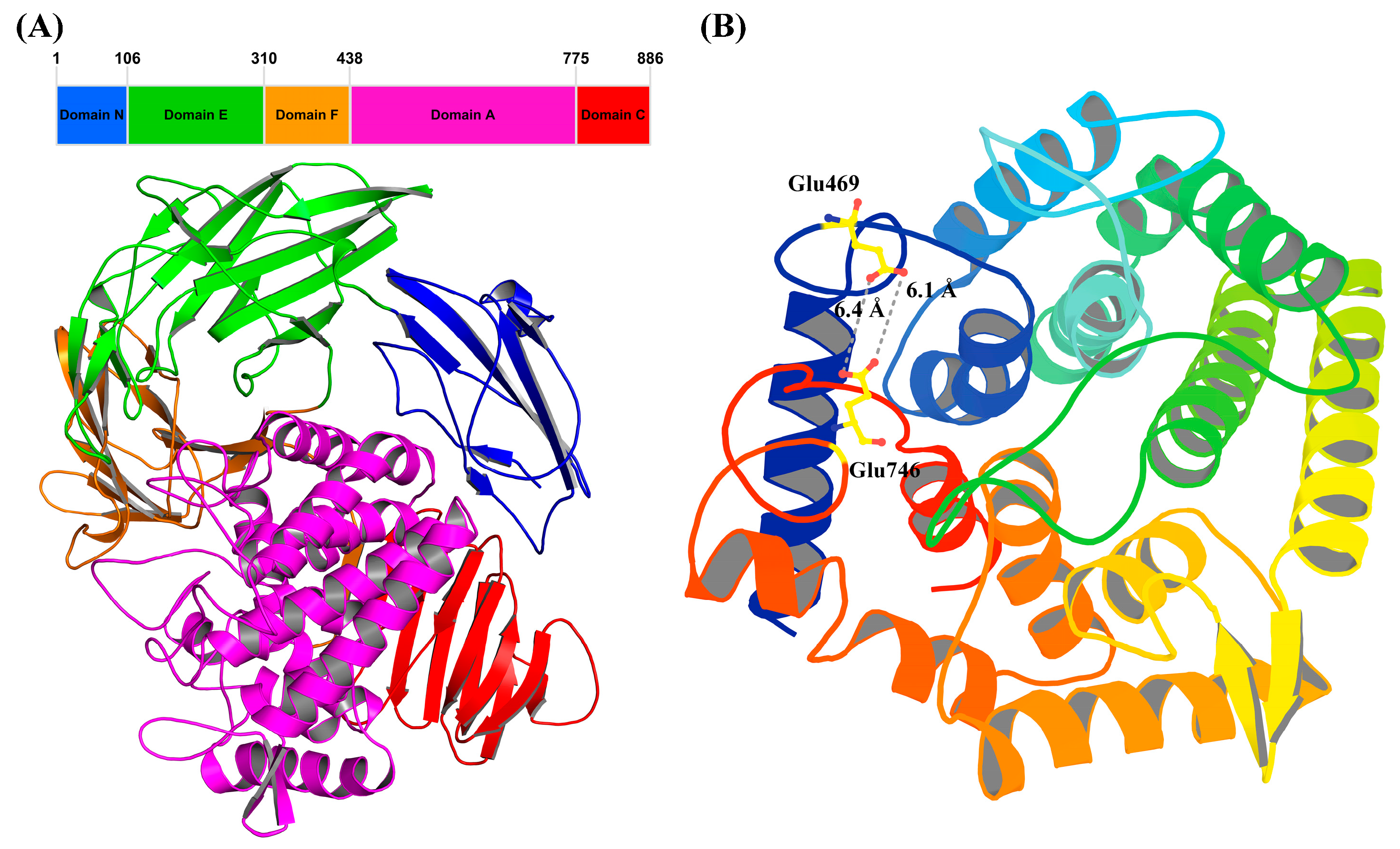 Biomolecules 16 00068 g003 Biomolecules 16 00068 g003