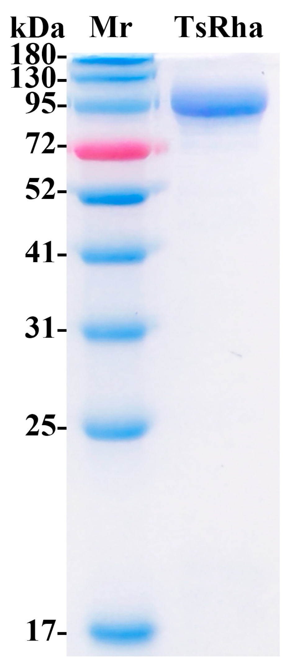 Biomolecules 16 00068 g004 Biomolecules 16 00068 g004