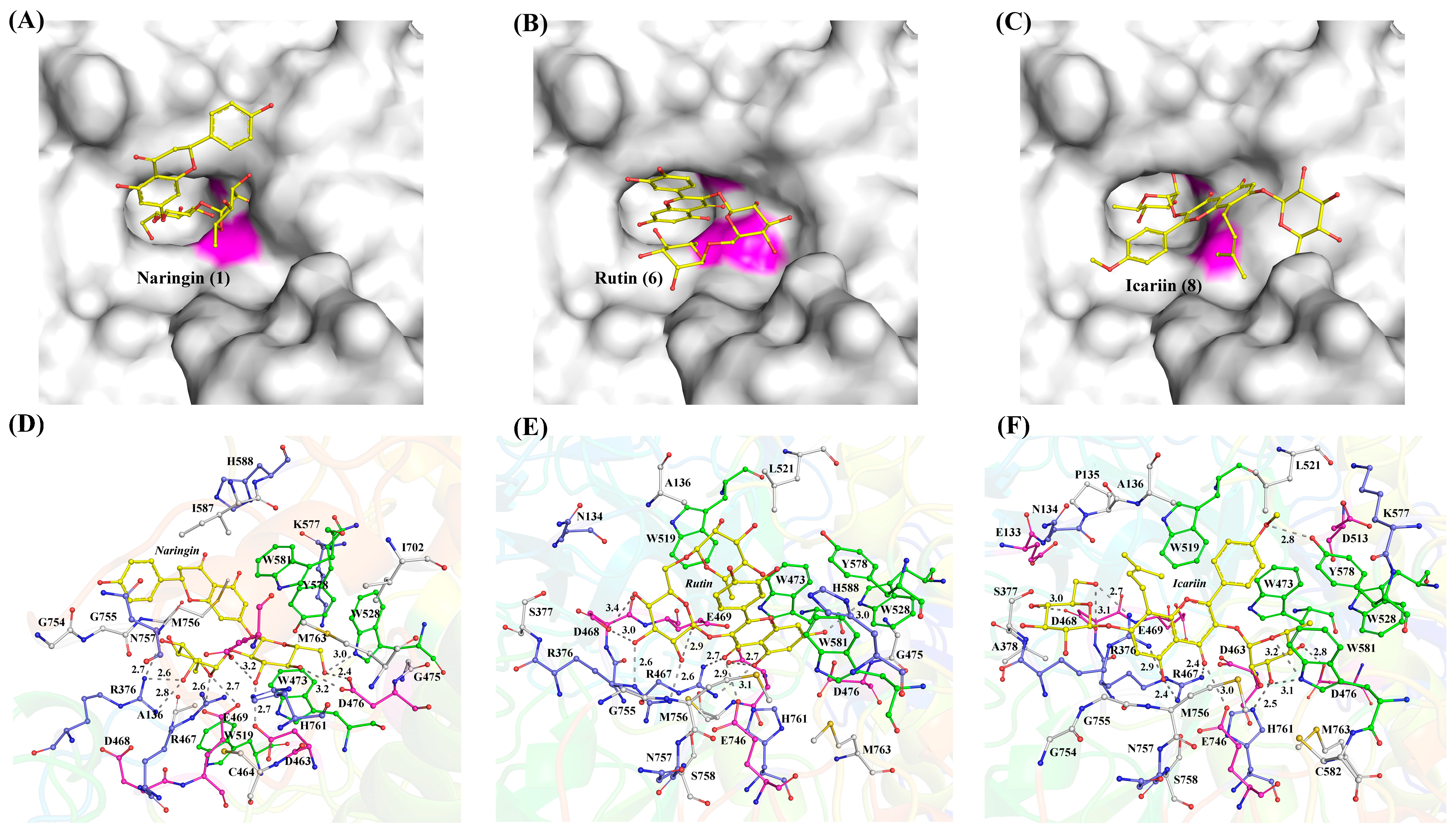 Biomolecules 16 00068 g008 Biomolecules 16 00068 g008