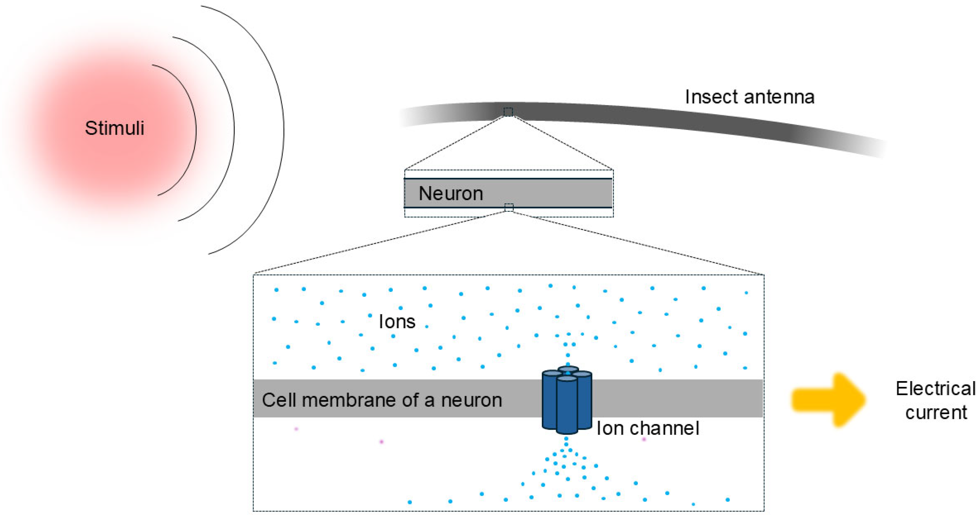 Biomolecules 16 00076 g002 Biomolecules 16 00076 g002