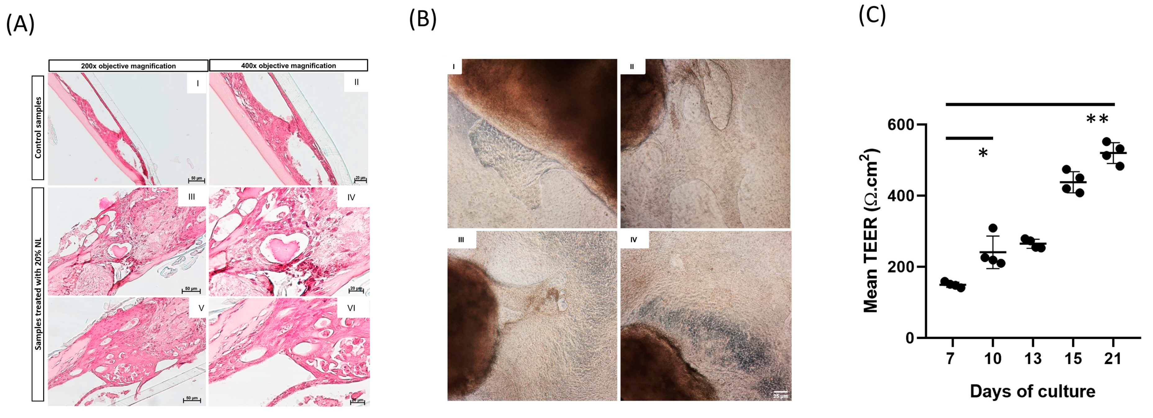 Biomolecules 16 00077 g004 Biomolecules 16 00077 g004