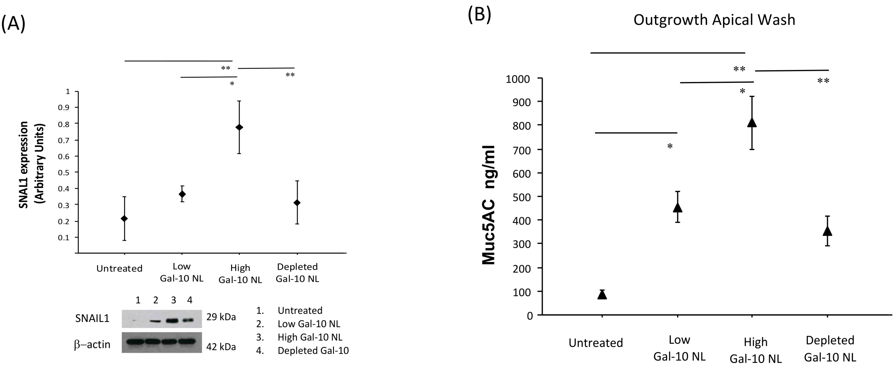 Biomolecules 16 00077 g006 Biomolecules 16 00077 g006
