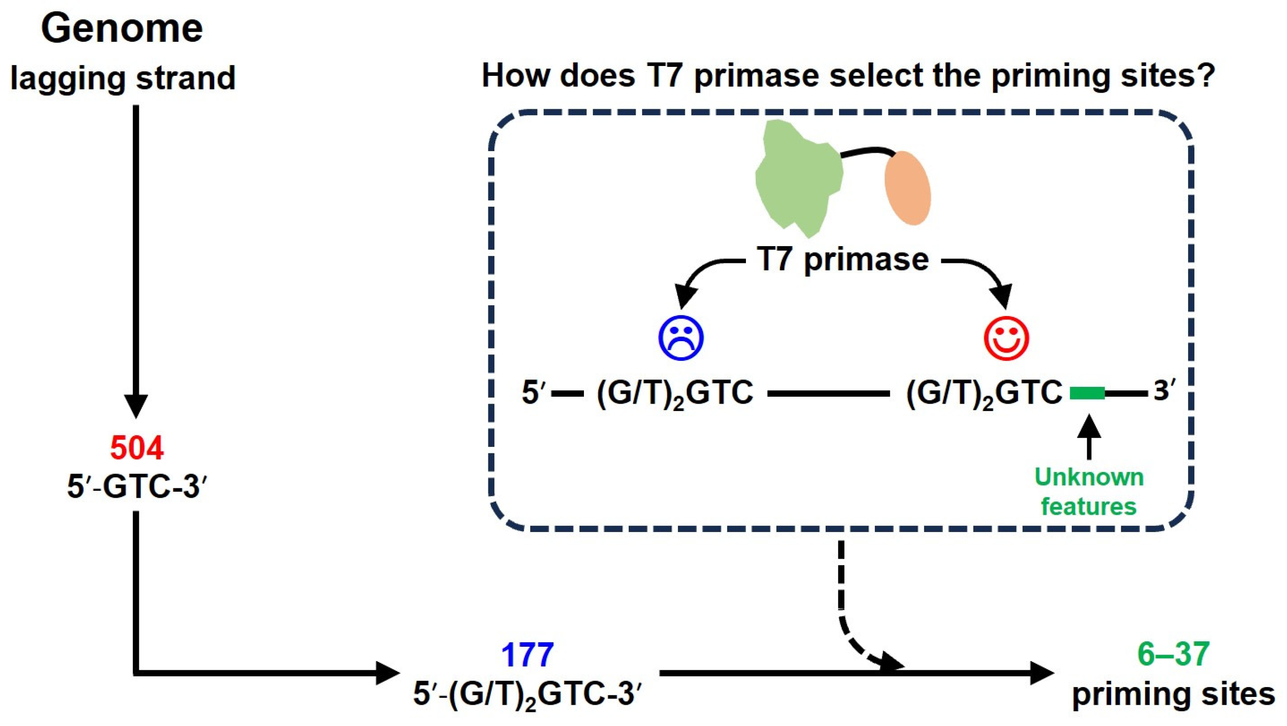 Biomolecules 16 00078 g001 Biomolecules 16 00078 g001