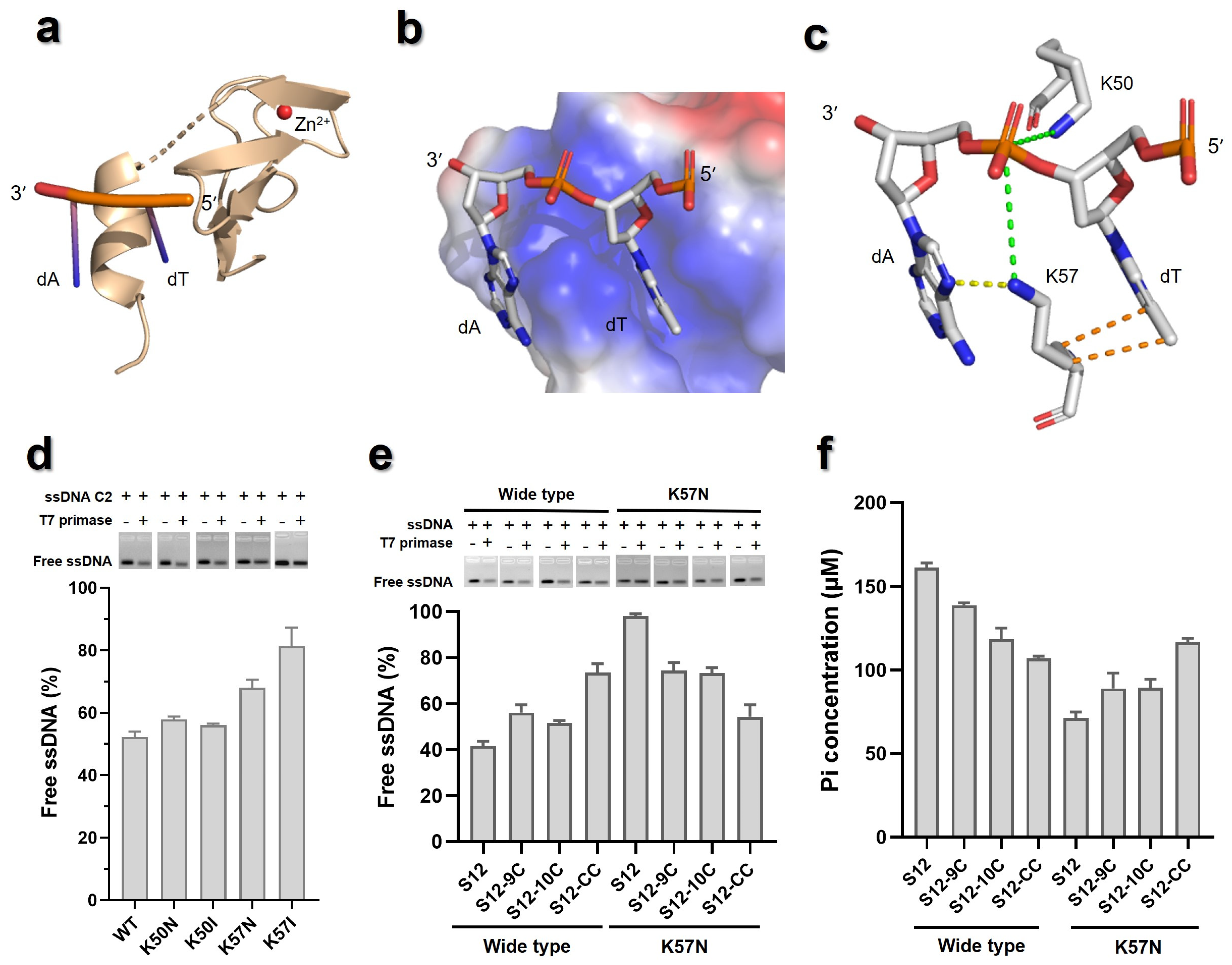 Biomolecules 16 00078 g007 Biomolecules 16 00078 g007