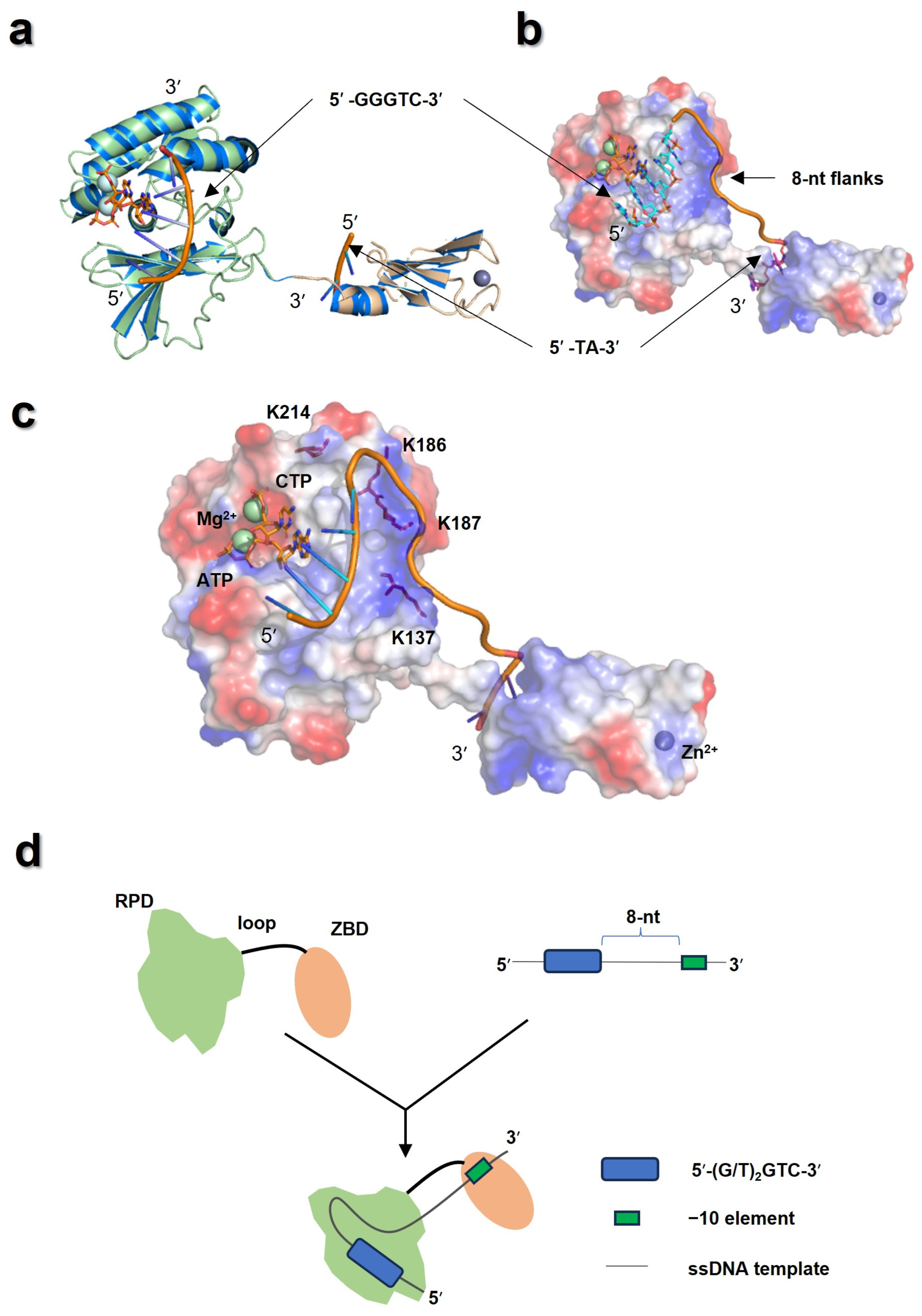 Biomolecules 16 00078 g008 Biomolecules 16 00078 g008