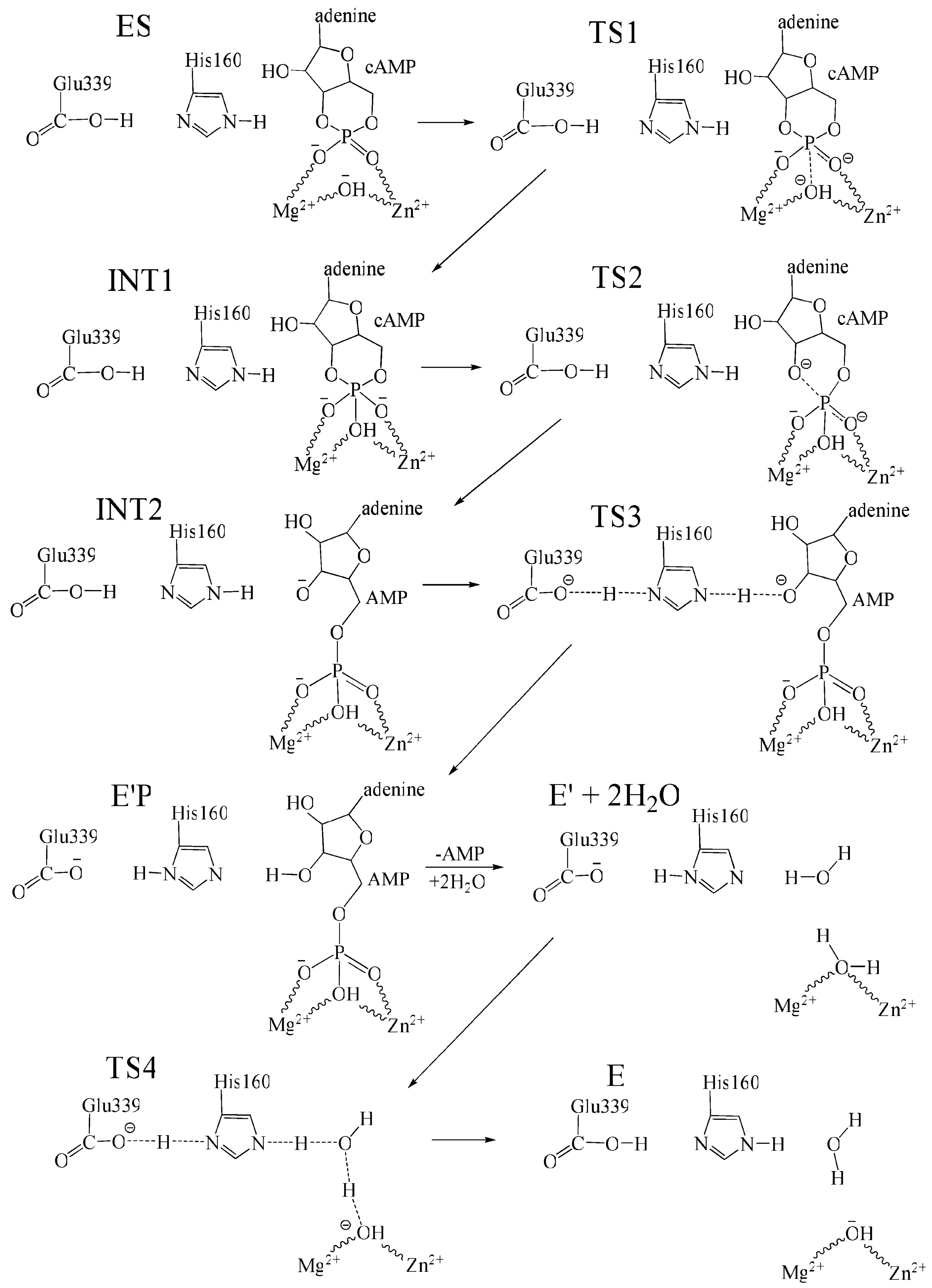 Biomolecules 16 00079 g003 Biomolecules 16 00079 g003
