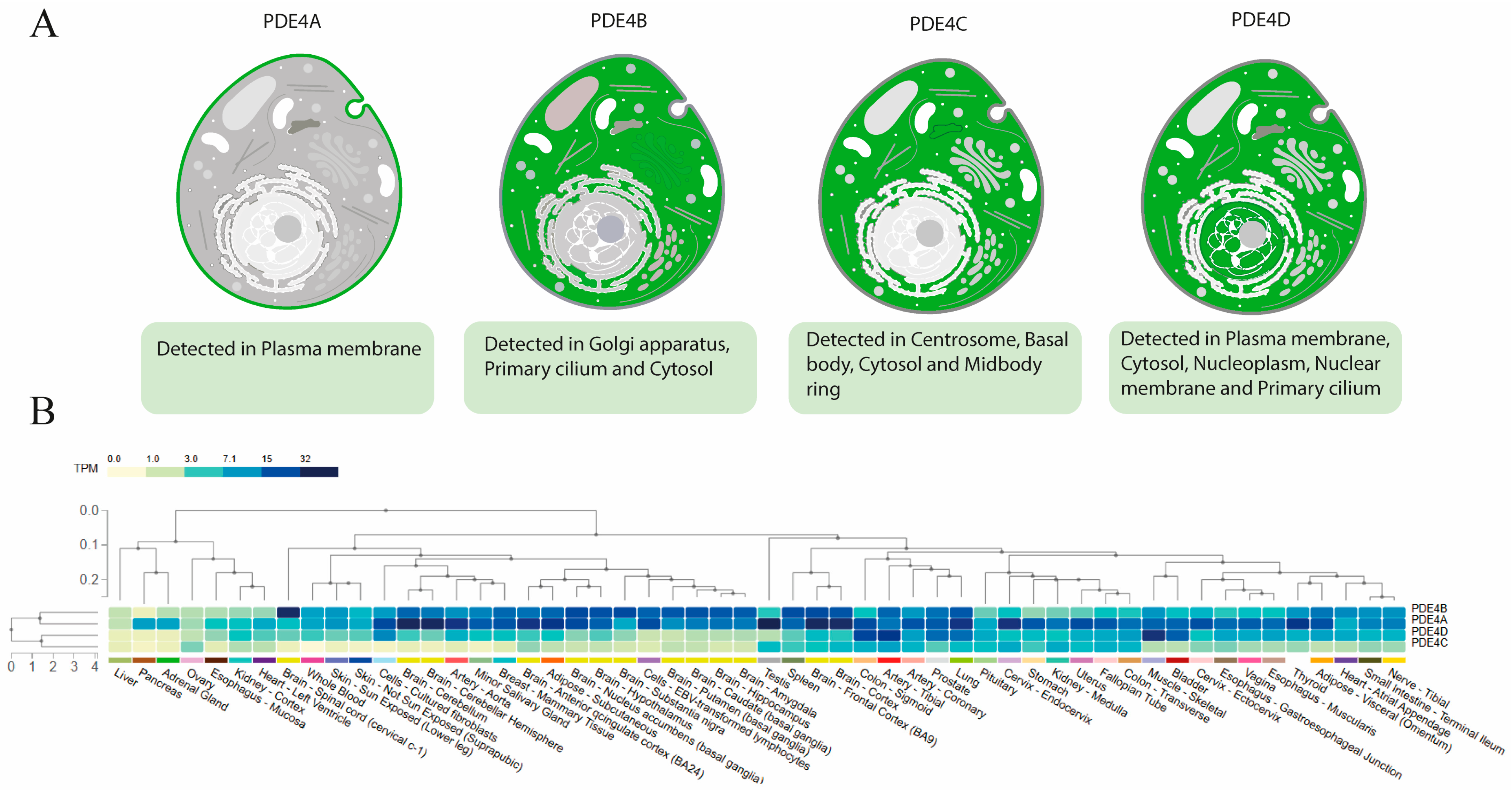 Biomolecules 16 00079 g004 Biomolecules 16 00079 g004