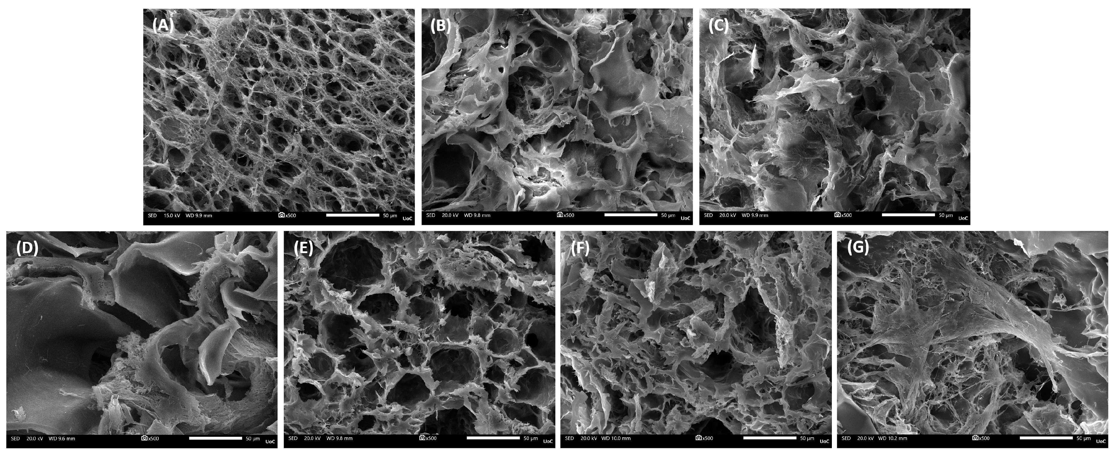 Biomolecules 16 00080 g002 Biomolecules 16 00080 g002