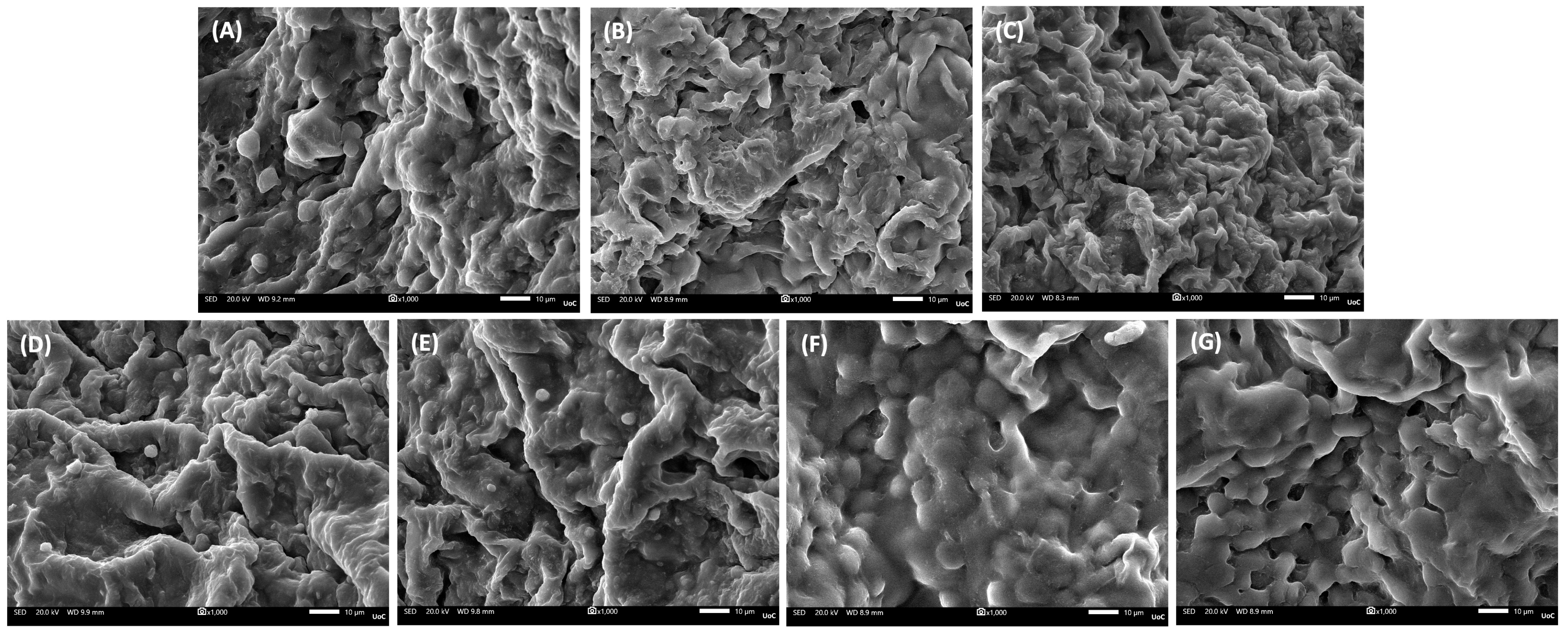 Biomolecules 16 00080 g006 Biomolecules 16 00080 g006
