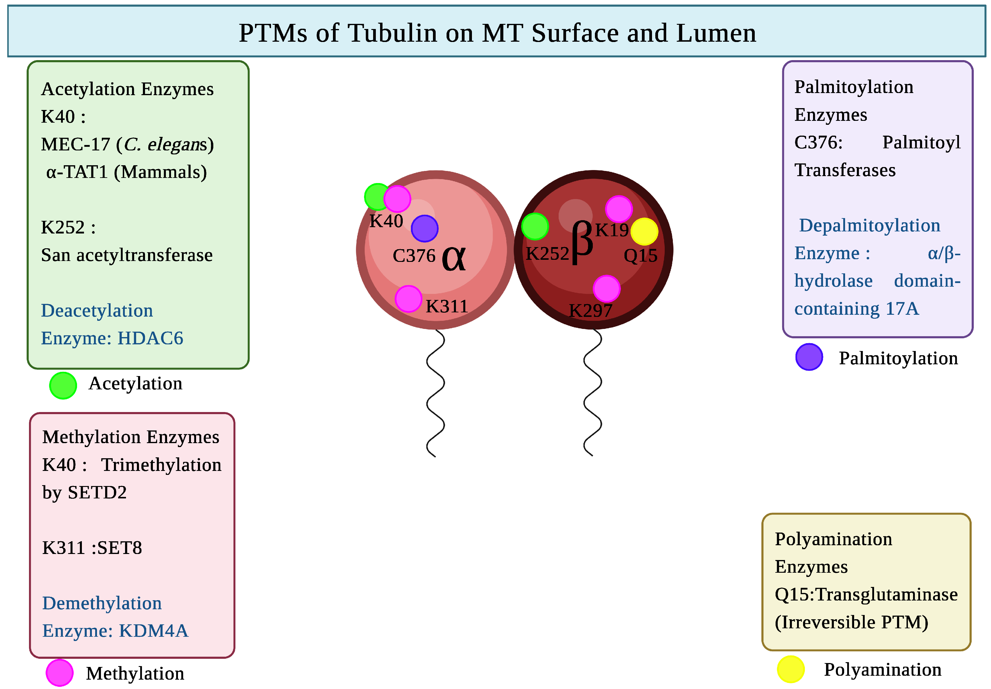 Biomolecules 16 00081 g003 Biomolecules 16 00081 g003