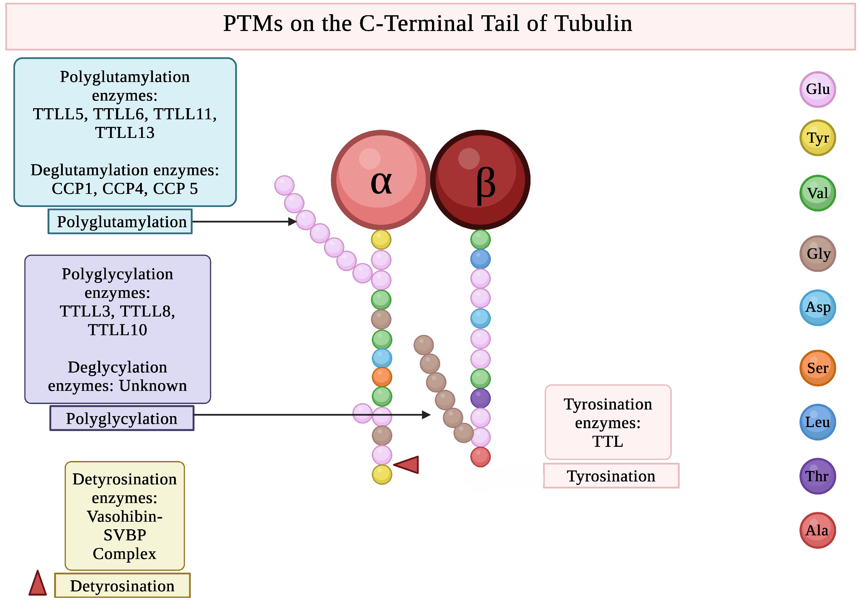 Biomolecules 16 00081 g004 Biomolecules 16 00081 g004