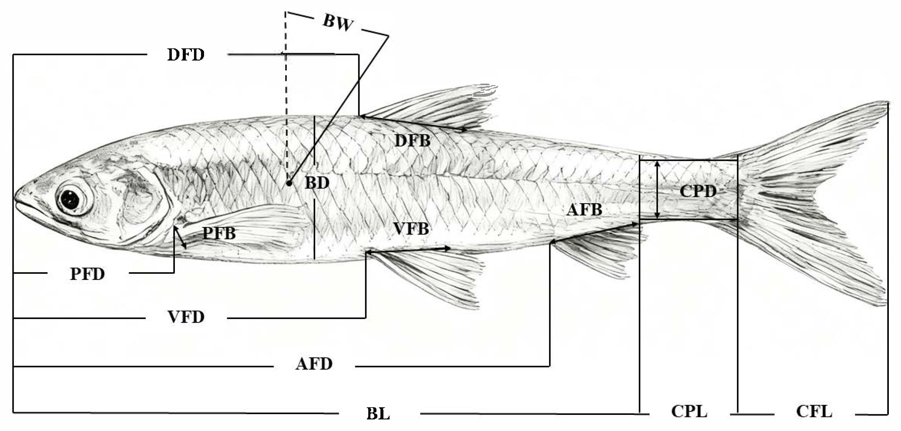 Biomolecules 16 00083 g001 Biomolecules 16 00083 g001