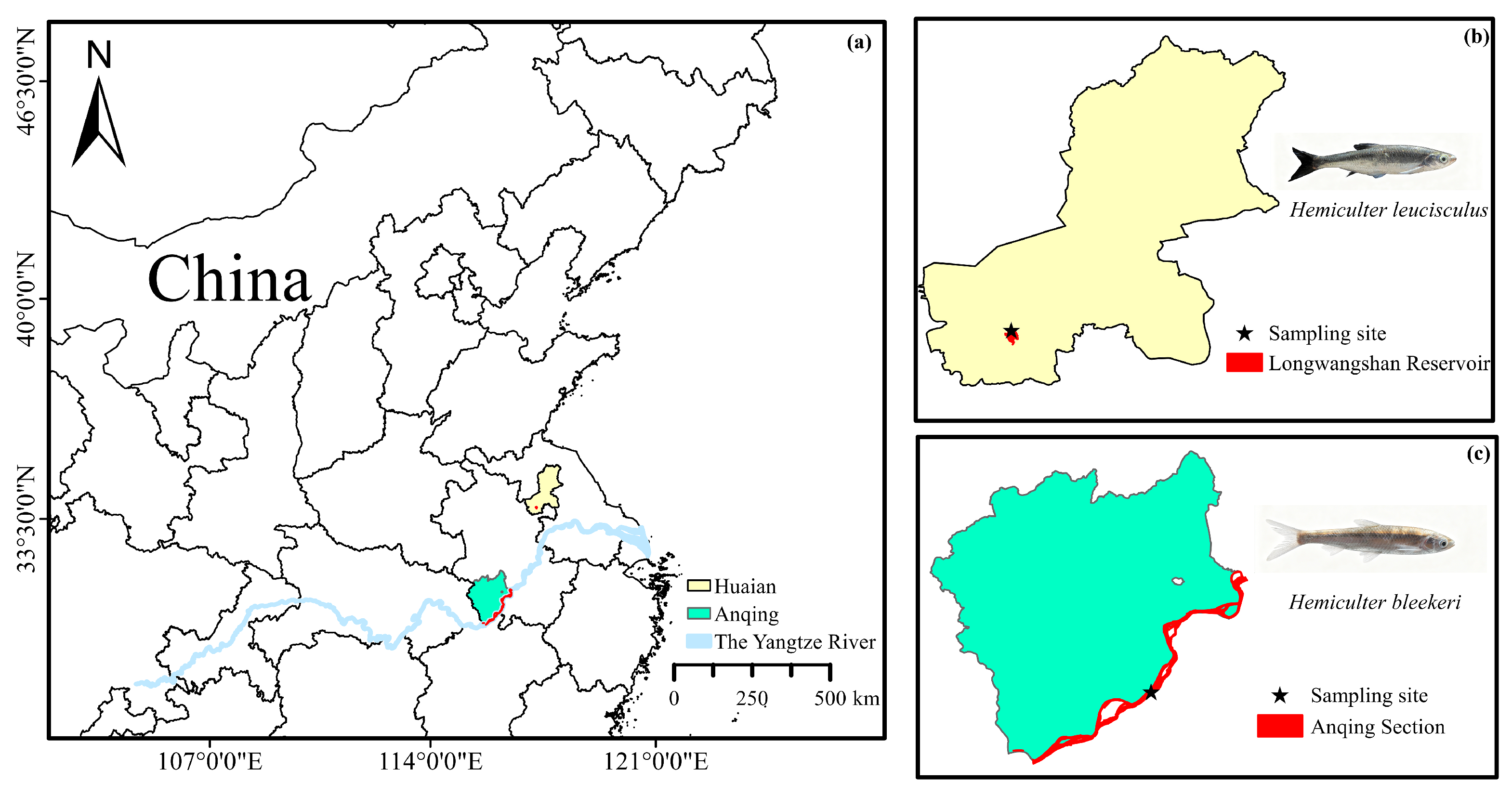 Biomolecules 16 00083 g002 Biomolecules 16 00083 g002