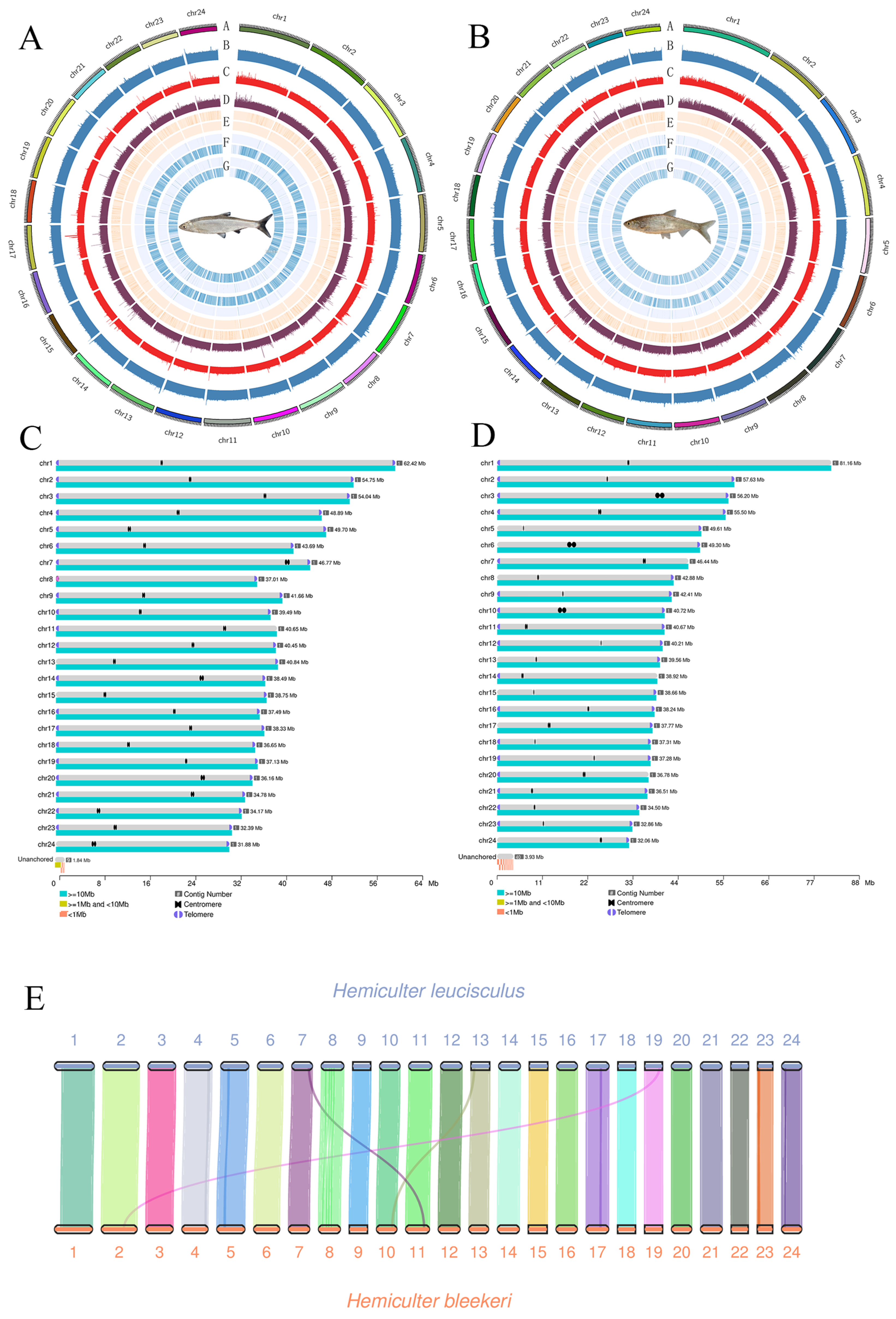 Biomolecules 16 00083 g003 Biomolecules 16 00083 g003
