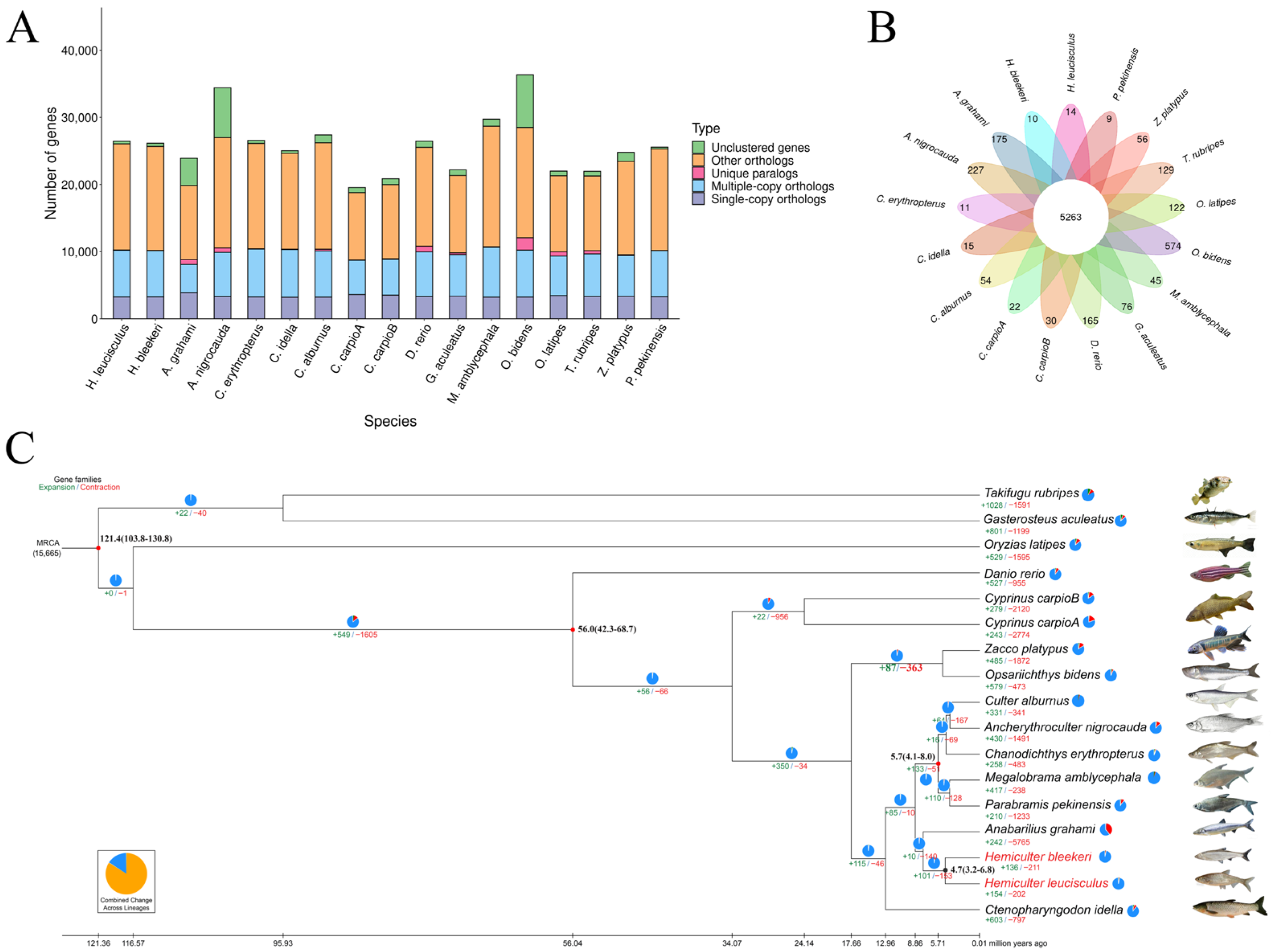 Biomolecules 16 00083 g004 Biomolecules 16 00083 g004