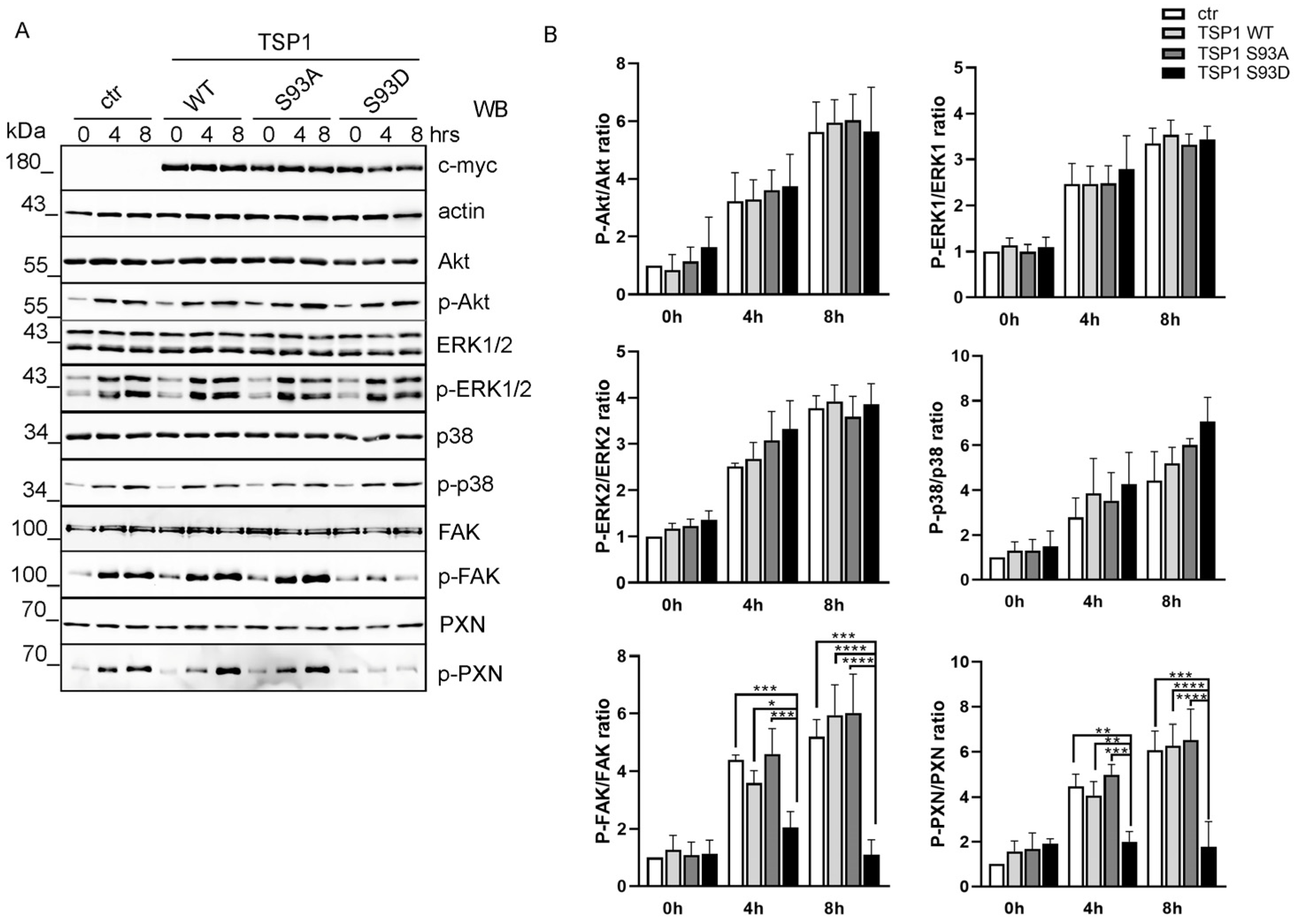 Biomolecules 16 00084 g002 Biomolecules 16 00084 g002