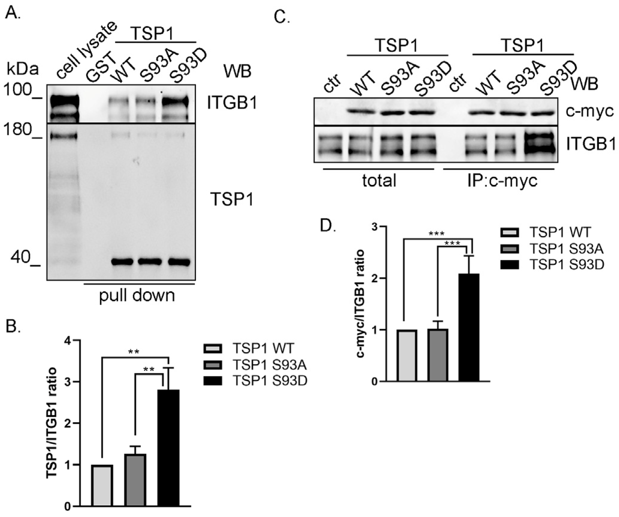 Biomolecules 16 00084 g003 Biomolecules 16 00084 g003