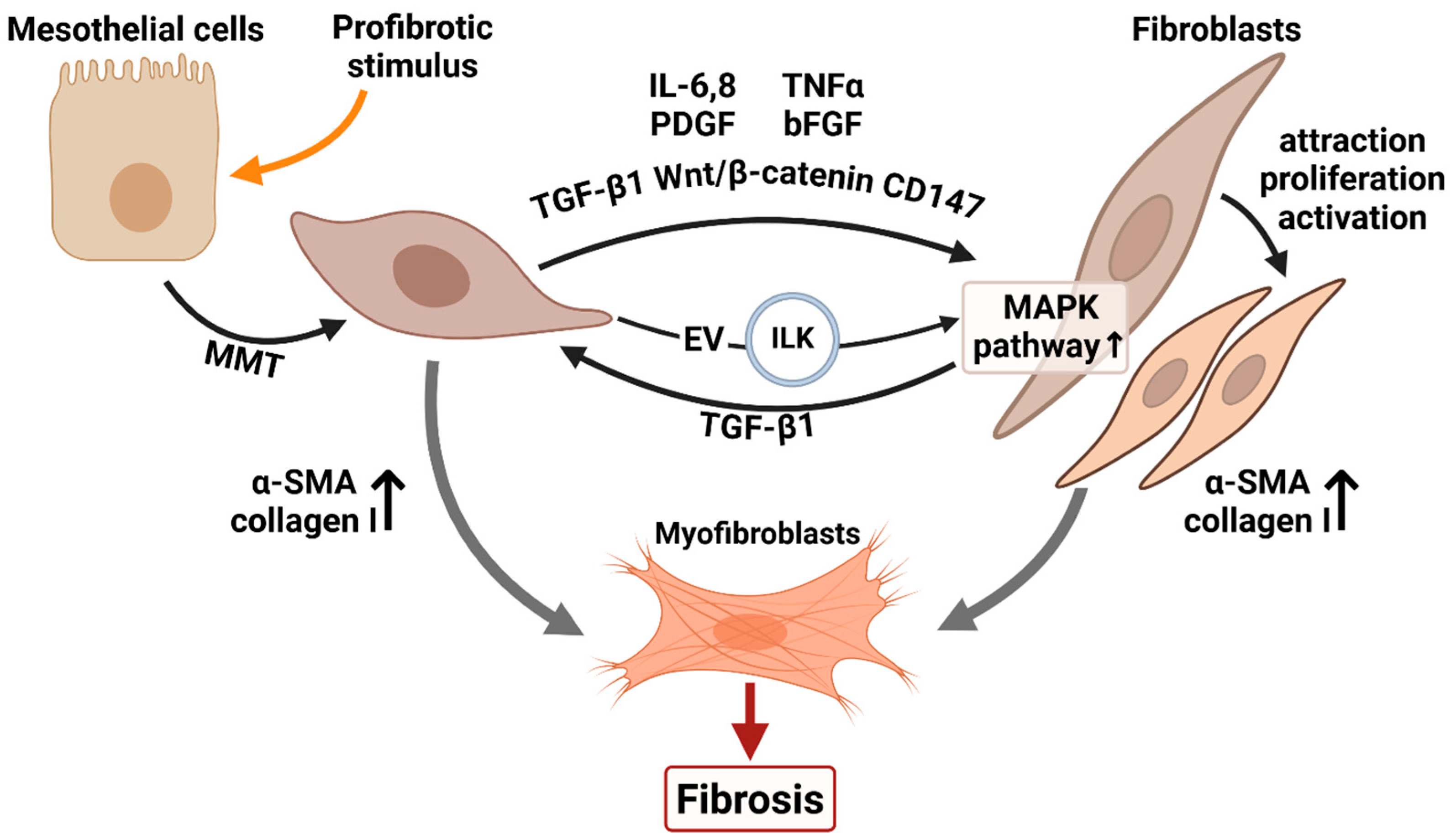 Biomolecules 16 00085 g001