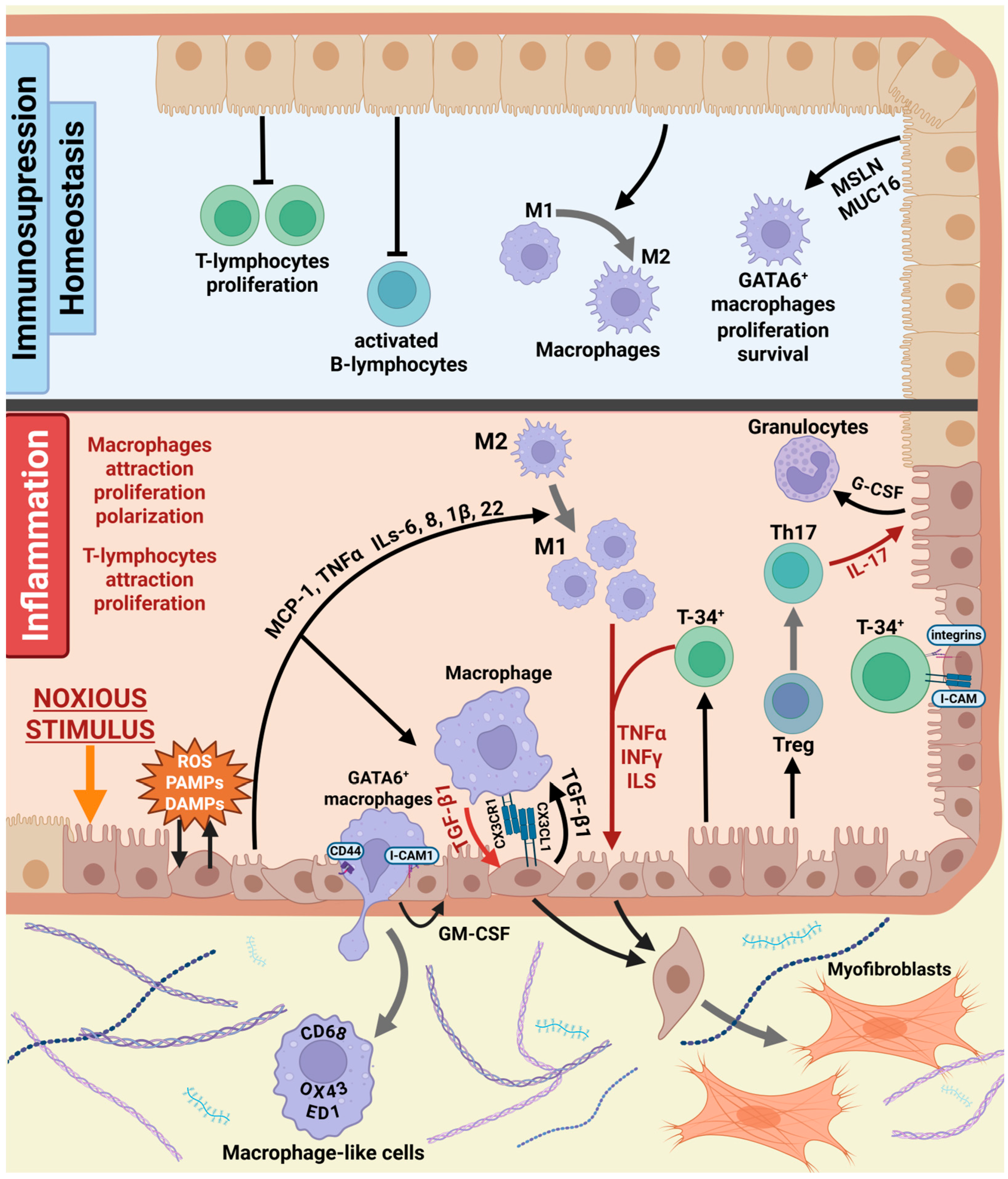 Biomolecules 16 00085 g002