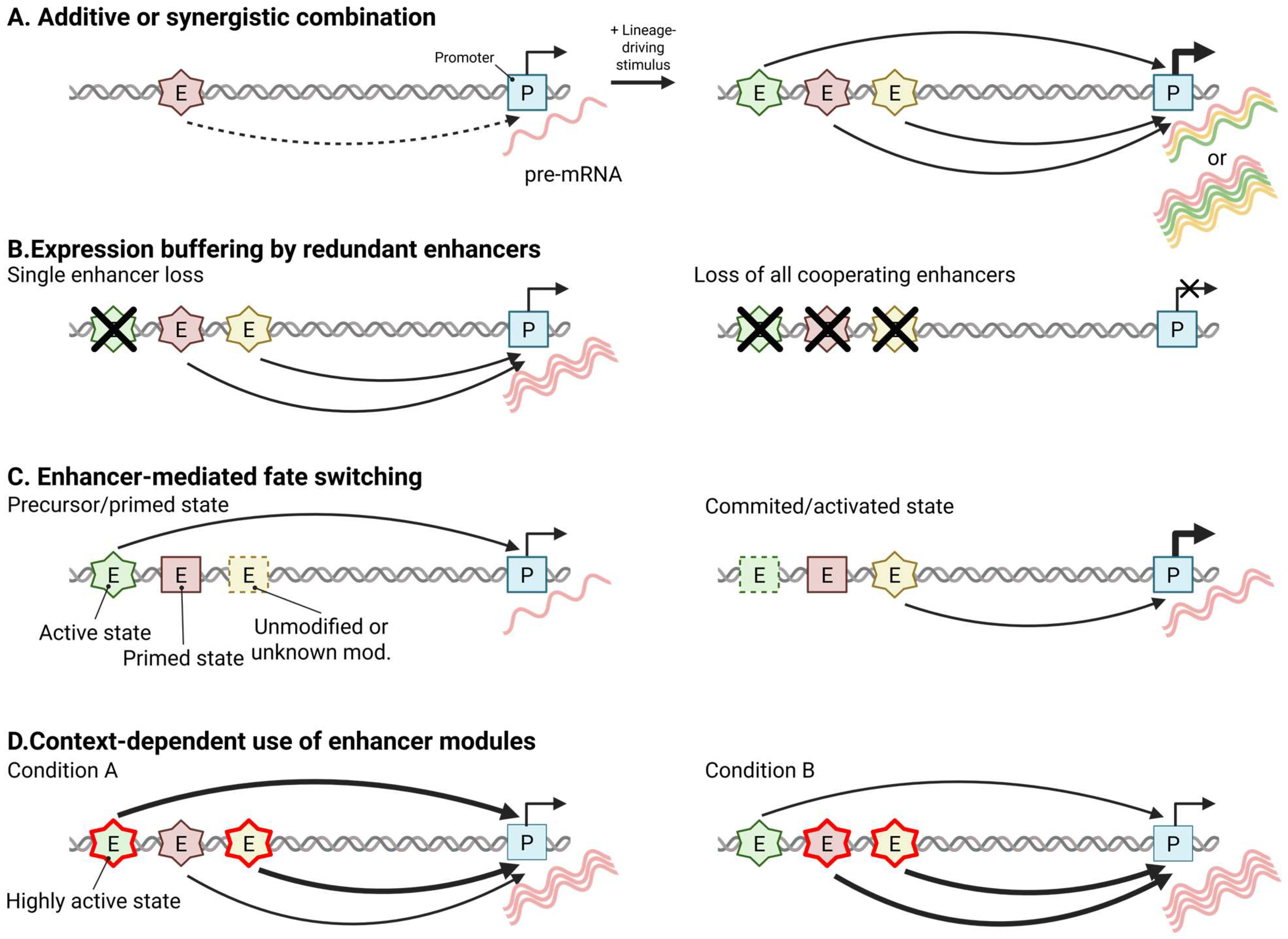 Biomolecules 16 00087 g002 Biomolecules 16 00087 g002