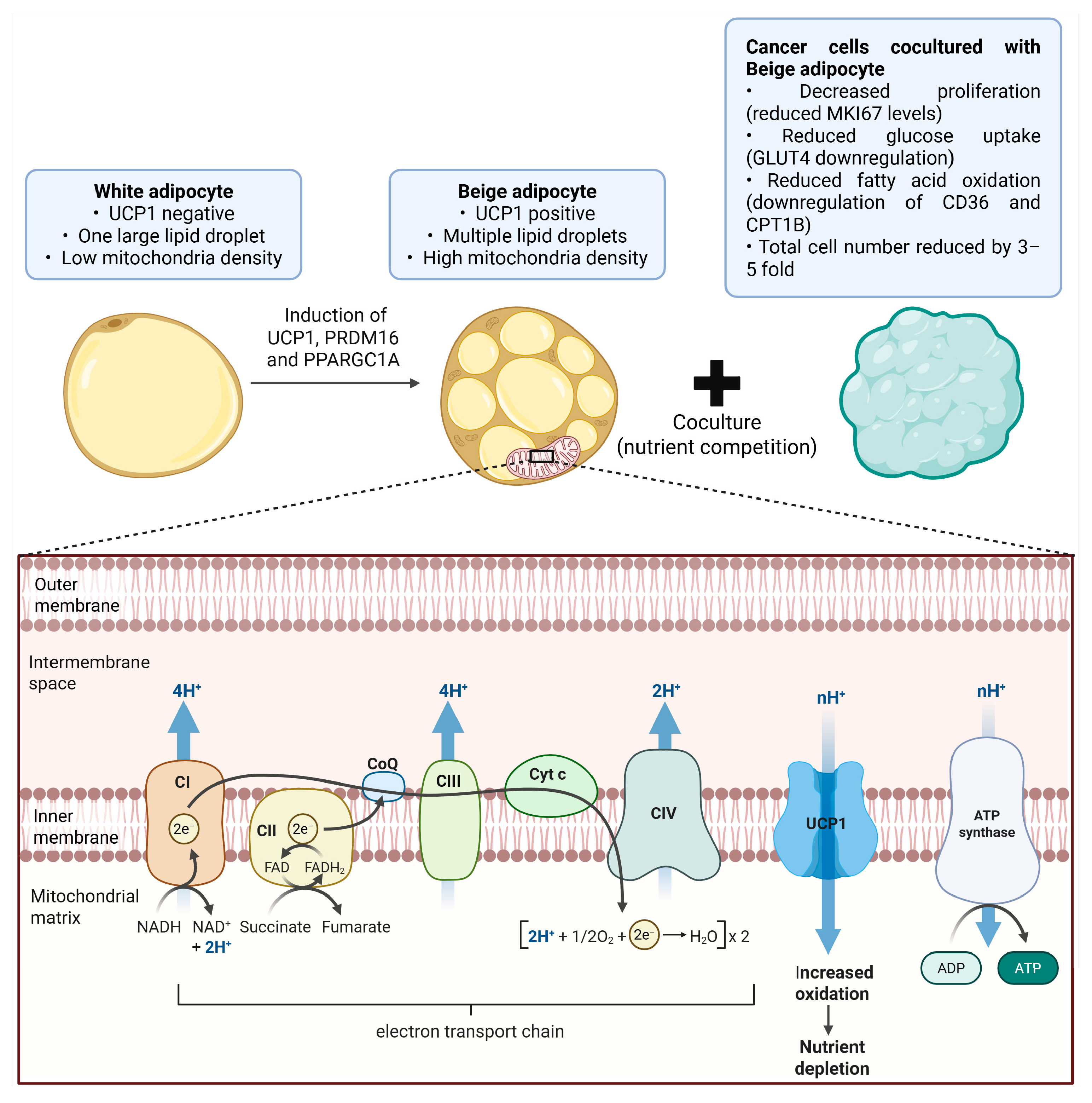 Biomolecules 16 00090 g001