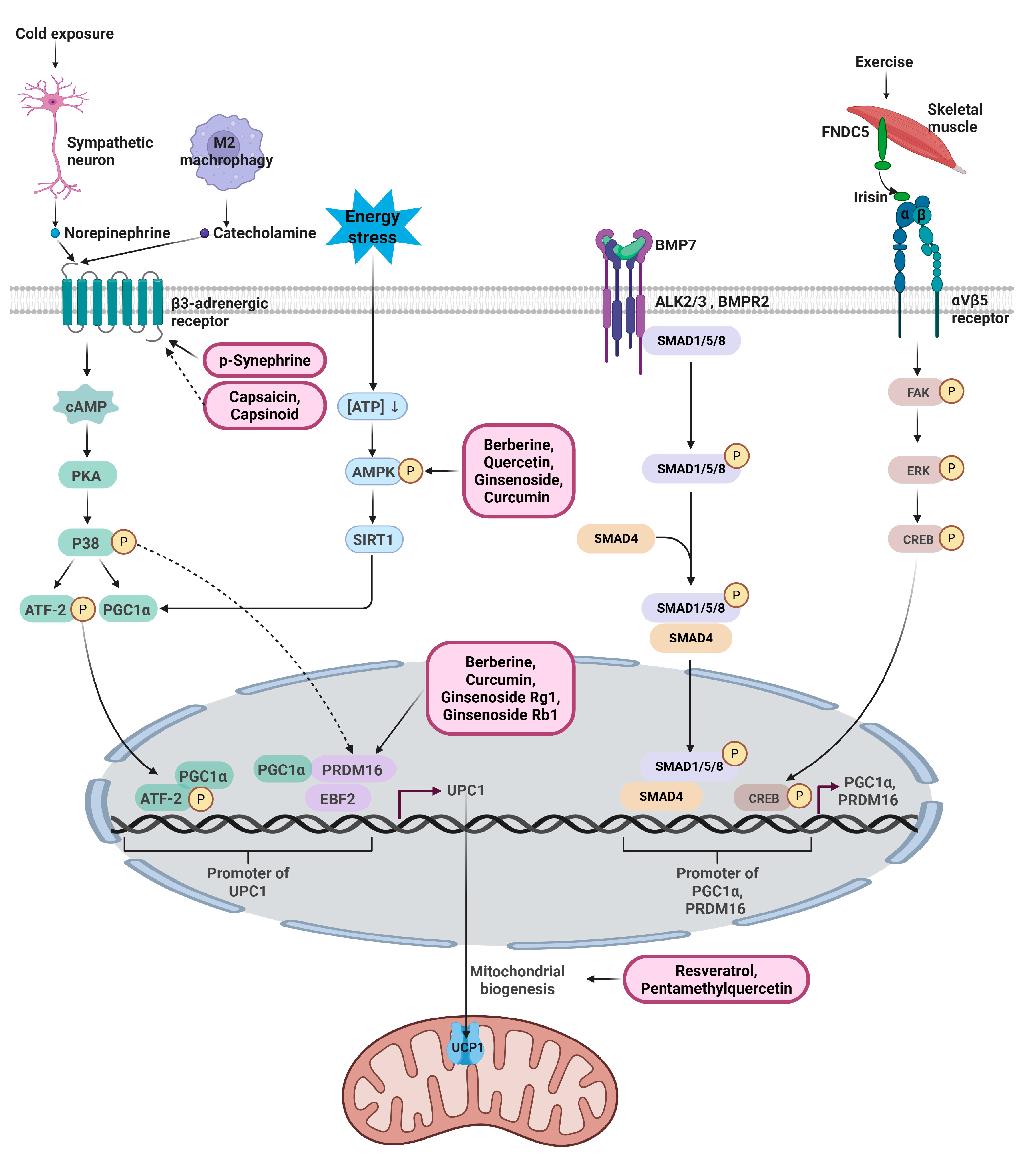 Biomolecules 16 00090 g002