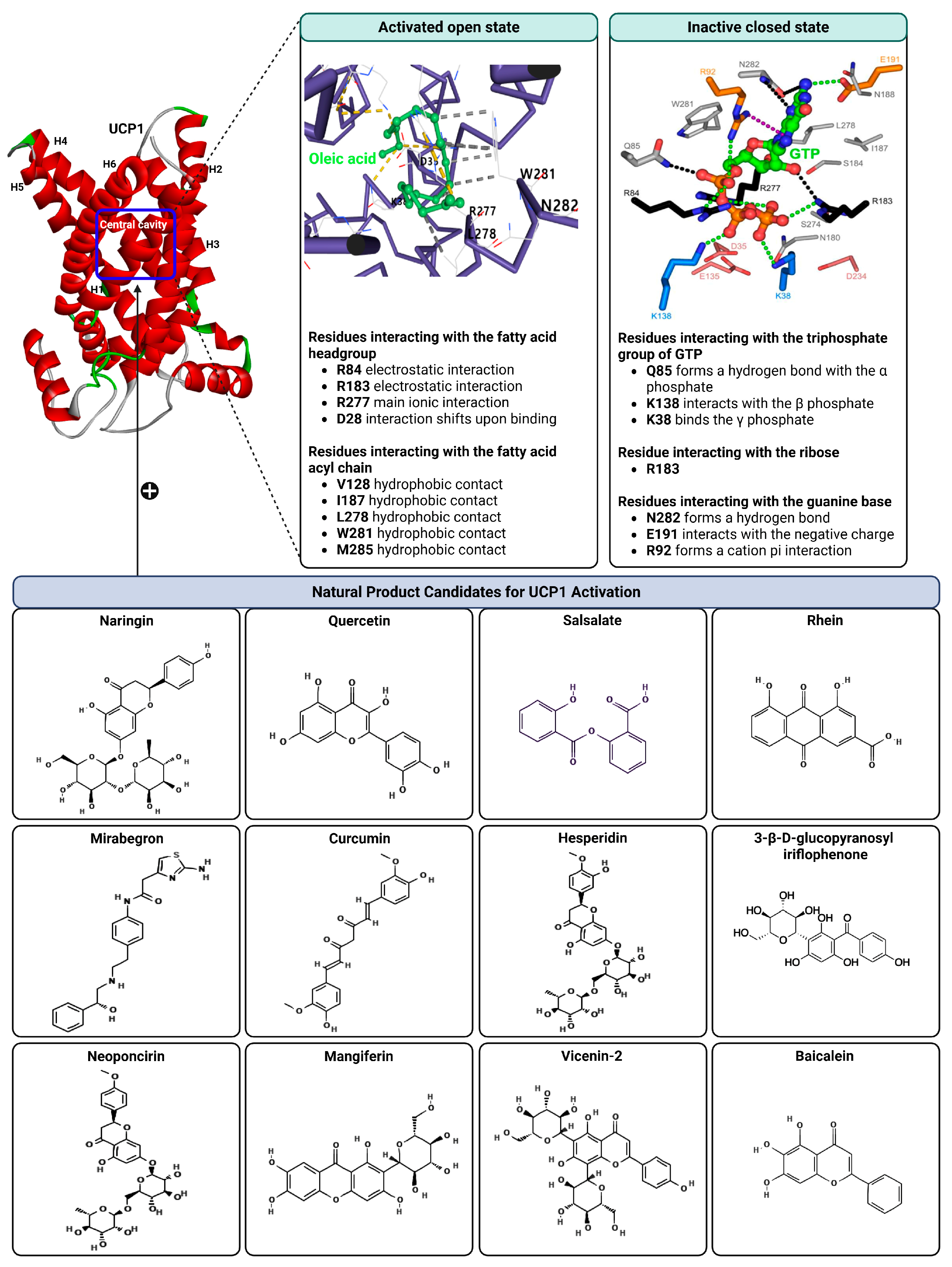 Biomolecules 16 00090 g003