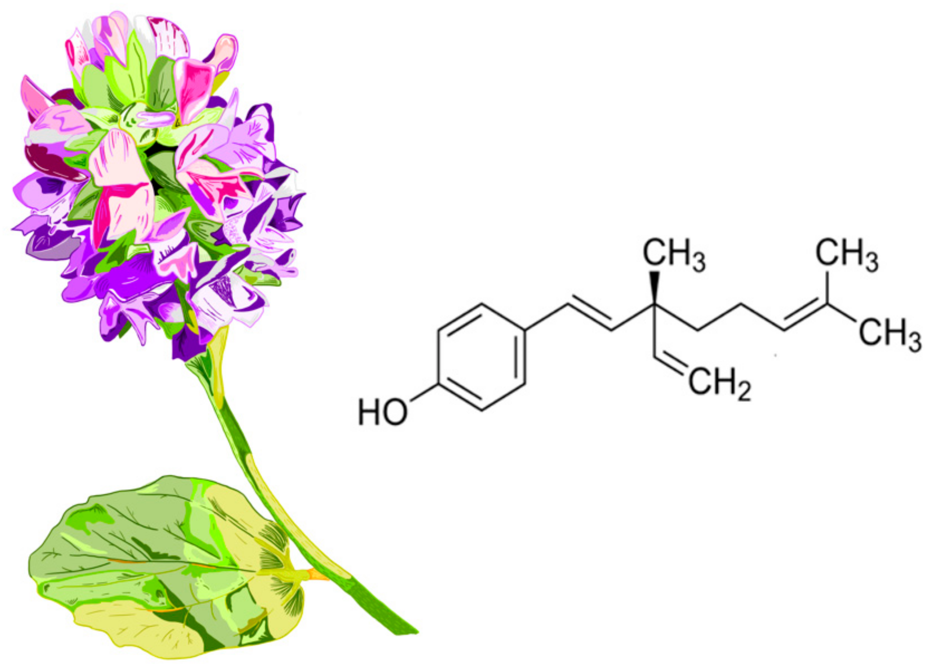 Biomolecules 16 00094 g002