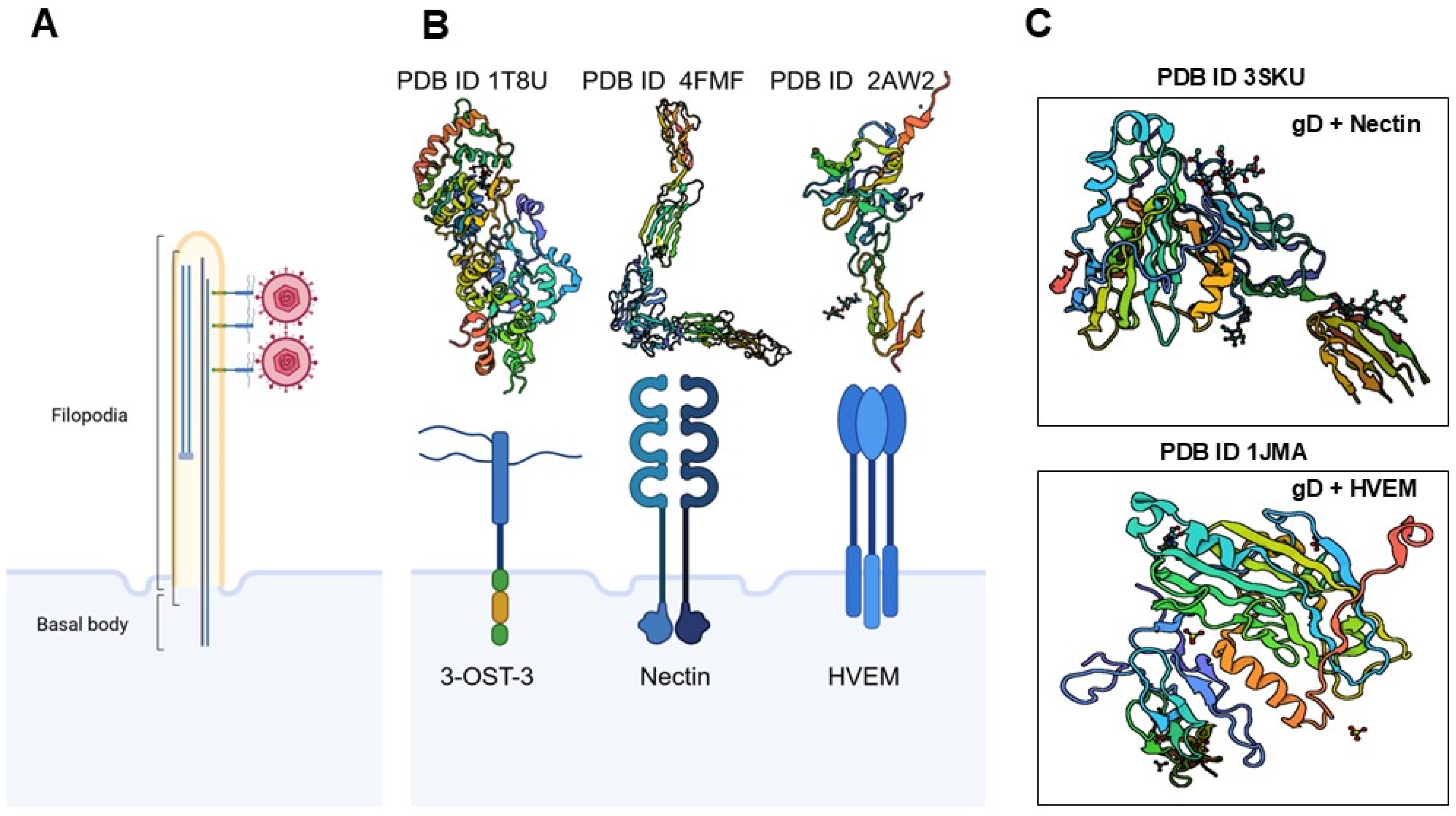 Biomolecules 16 00100 g004