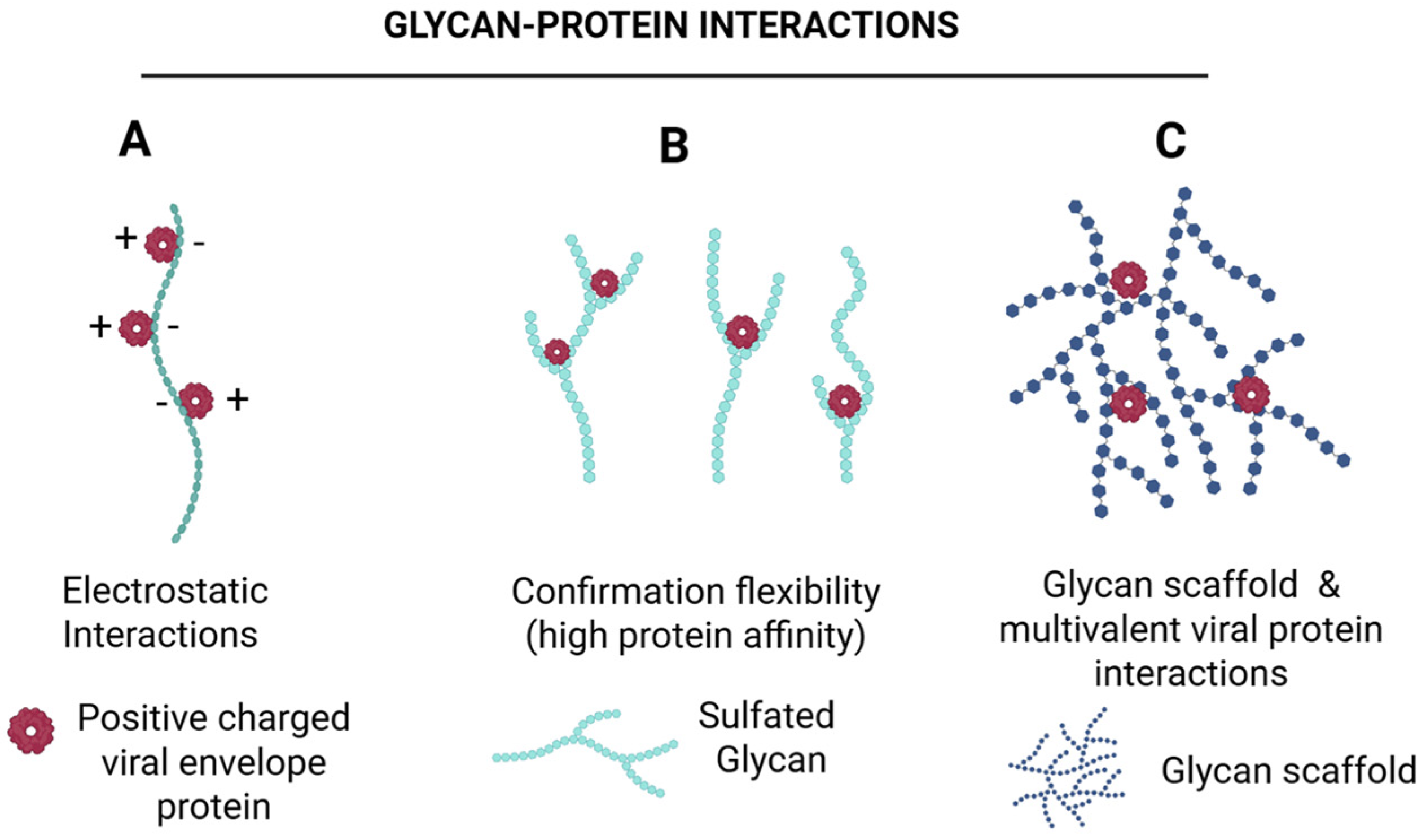 Biomolecules 16 00100 g007