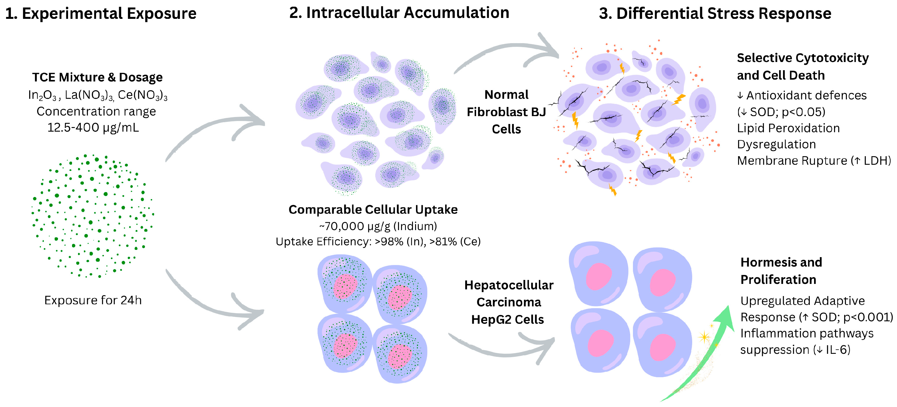 Biomolecules 16 00113 g003