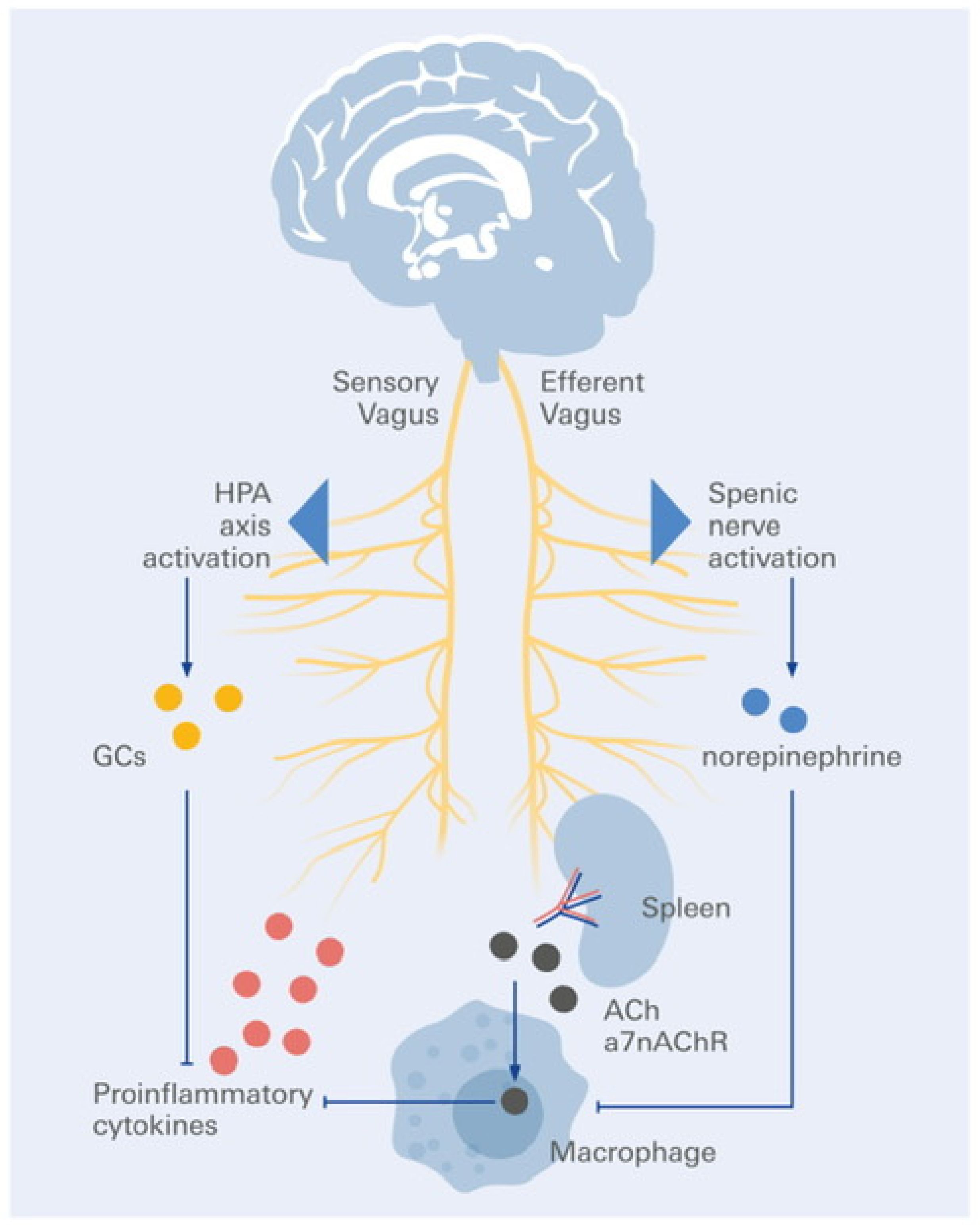 Biomolecules 16 00121 g003