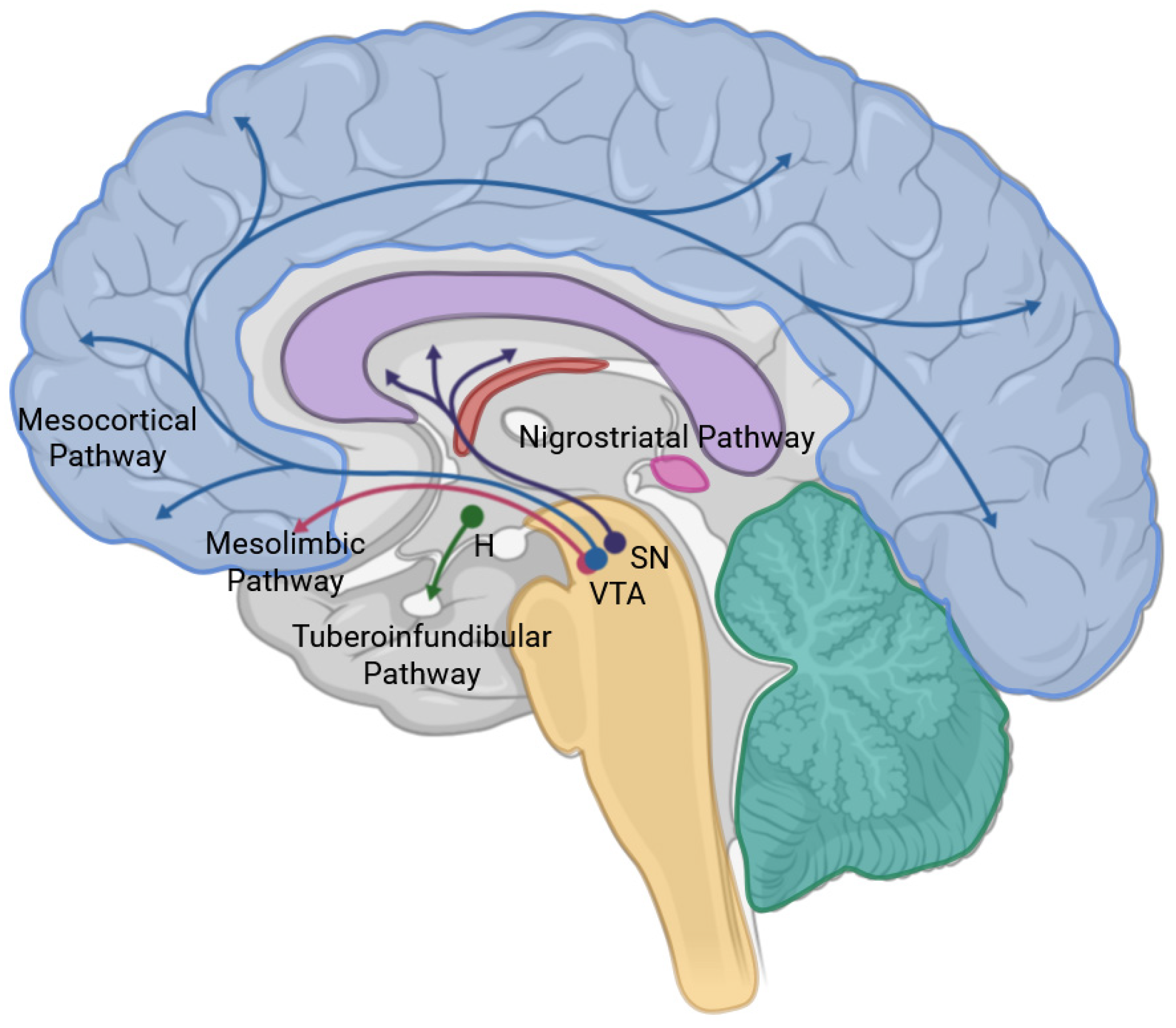 Biomolecules 16 00121 g004