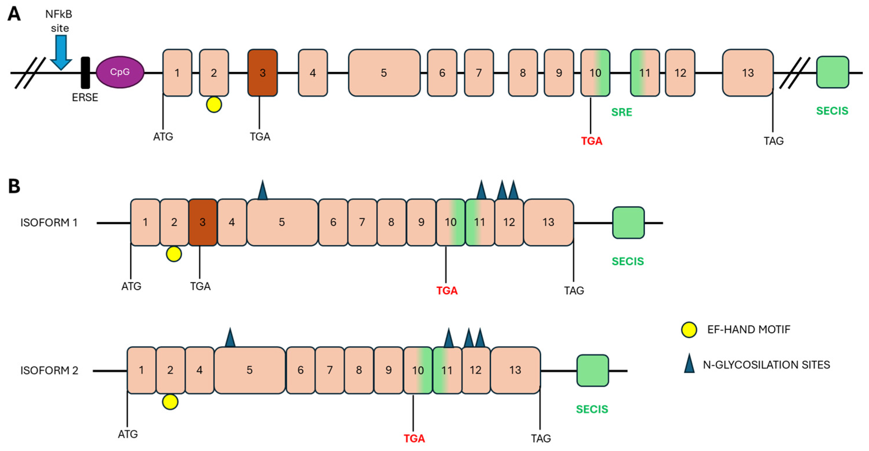 Biomolecules 16 00125 g002