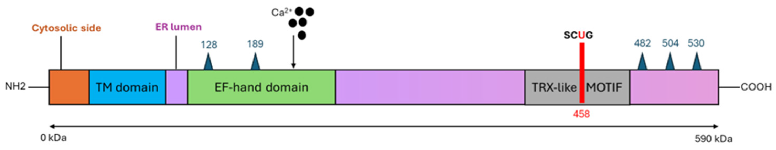 Biomolecules 16 00125 g003