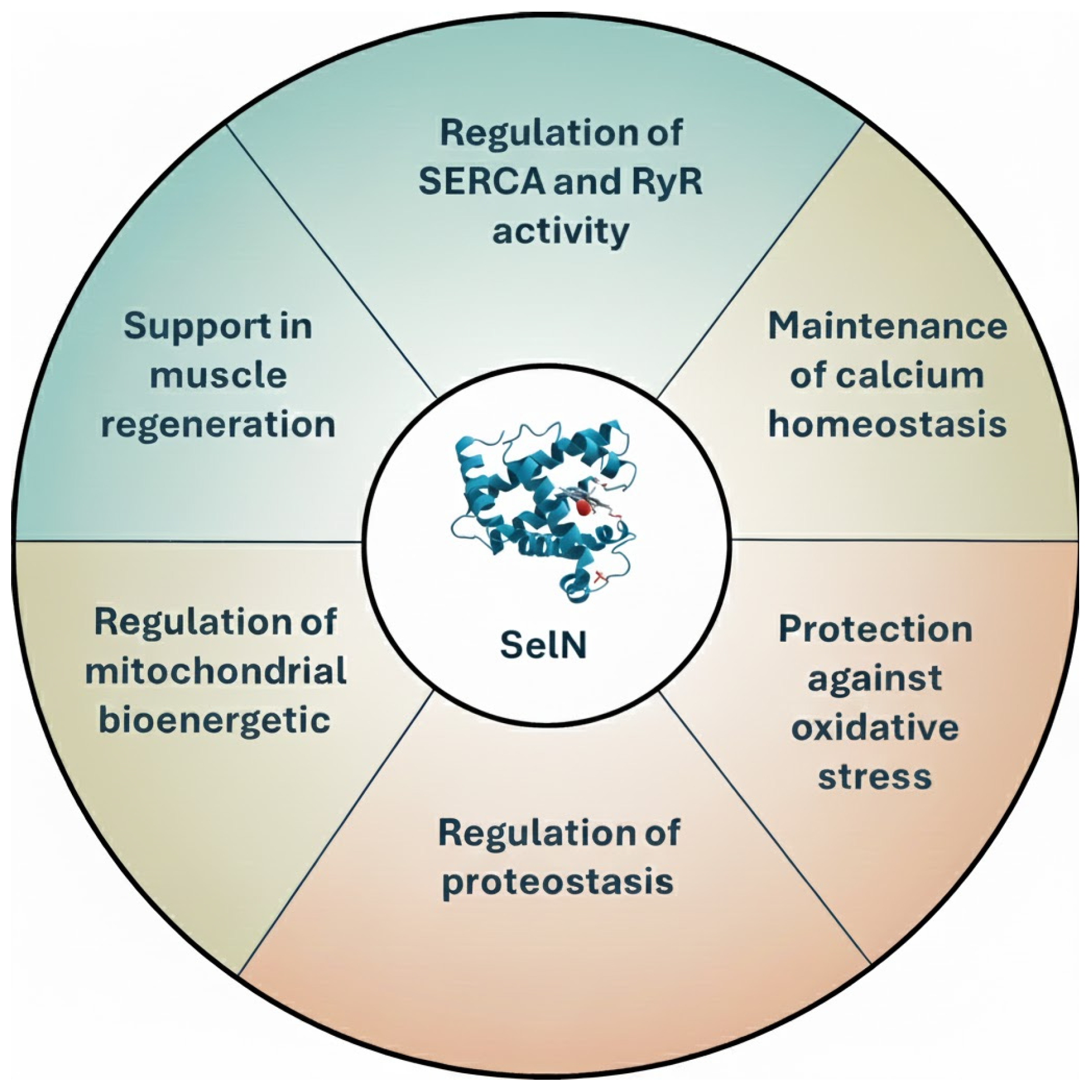 Biomolecules 16 00125 g004