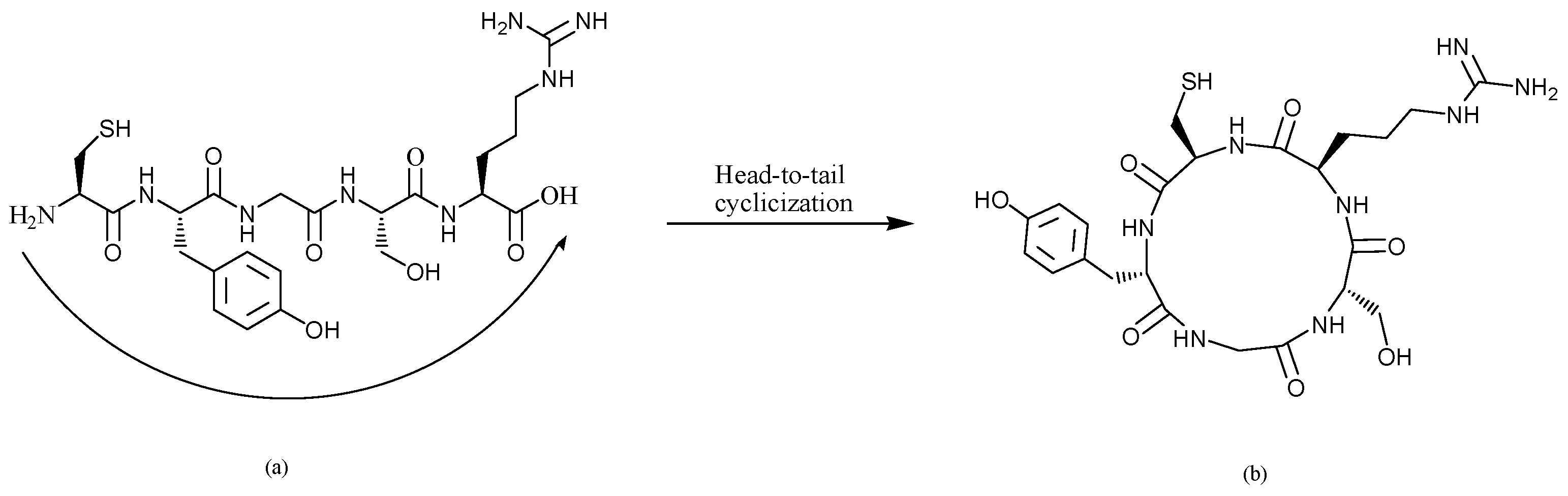 Biomolecules 16 00126 g001