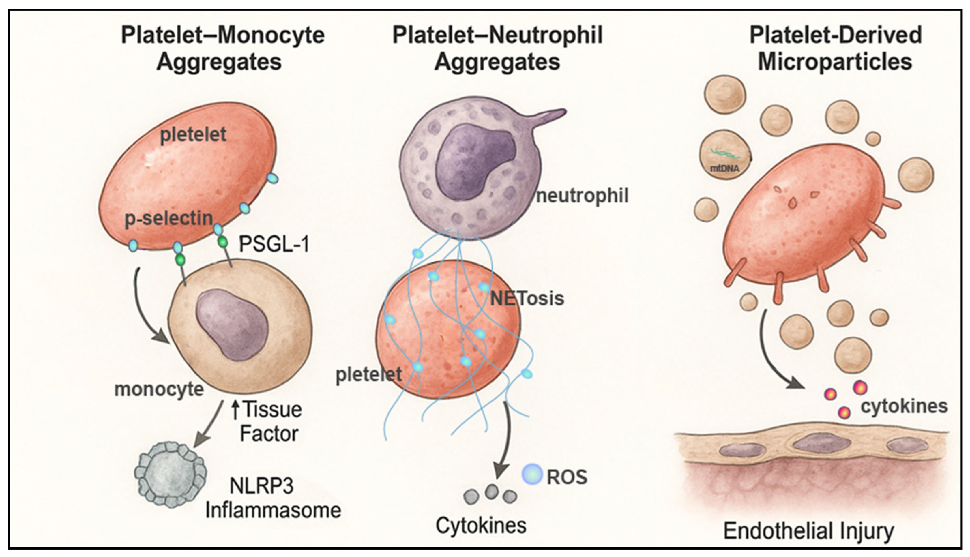 Platelet Complementation Platelets as Central Modulators of Post-Cardiac Arrest Syndrome ...
