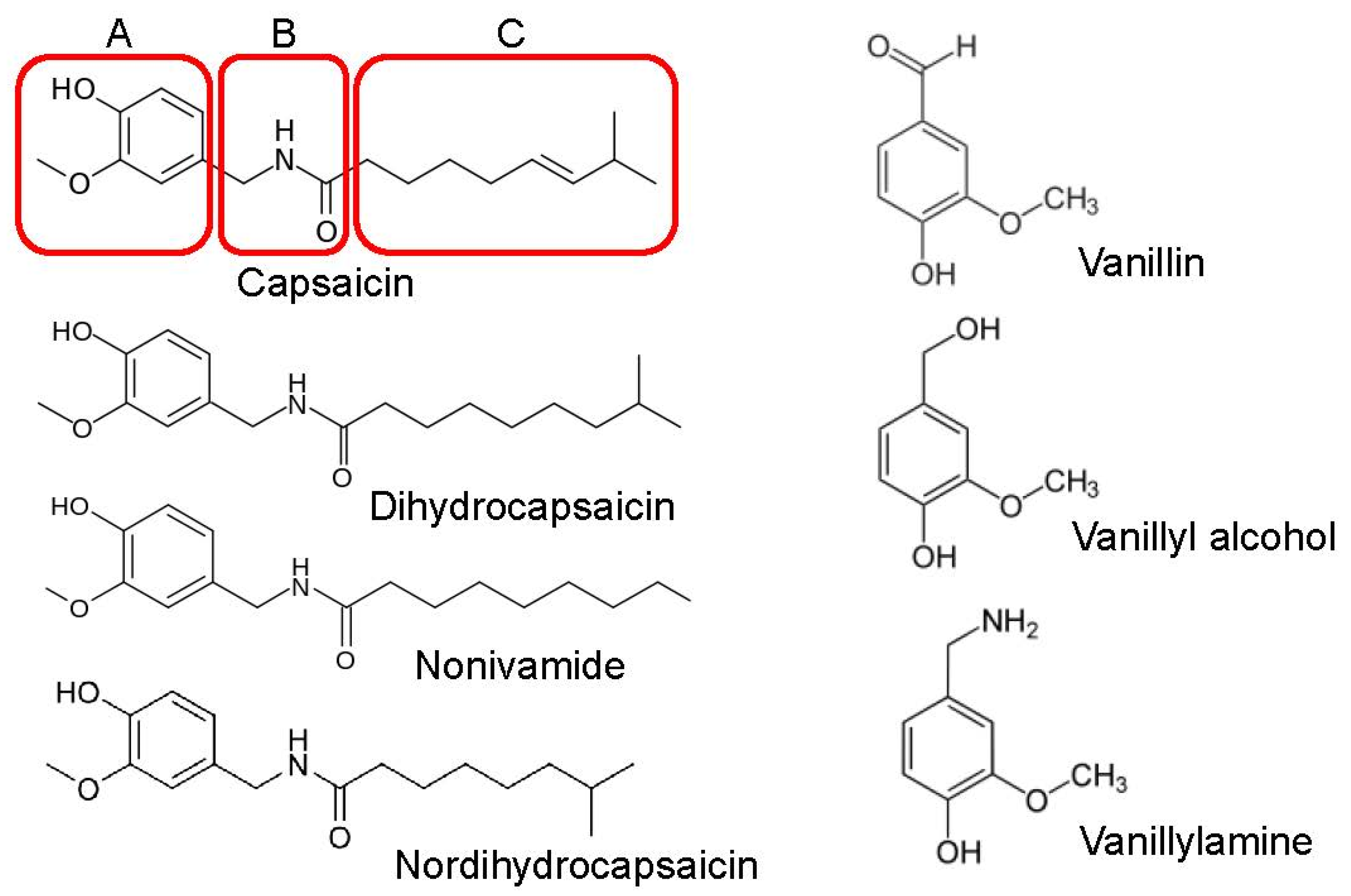 Biomolecules 16 00135 g001 Biomolecules 16 00135 g001