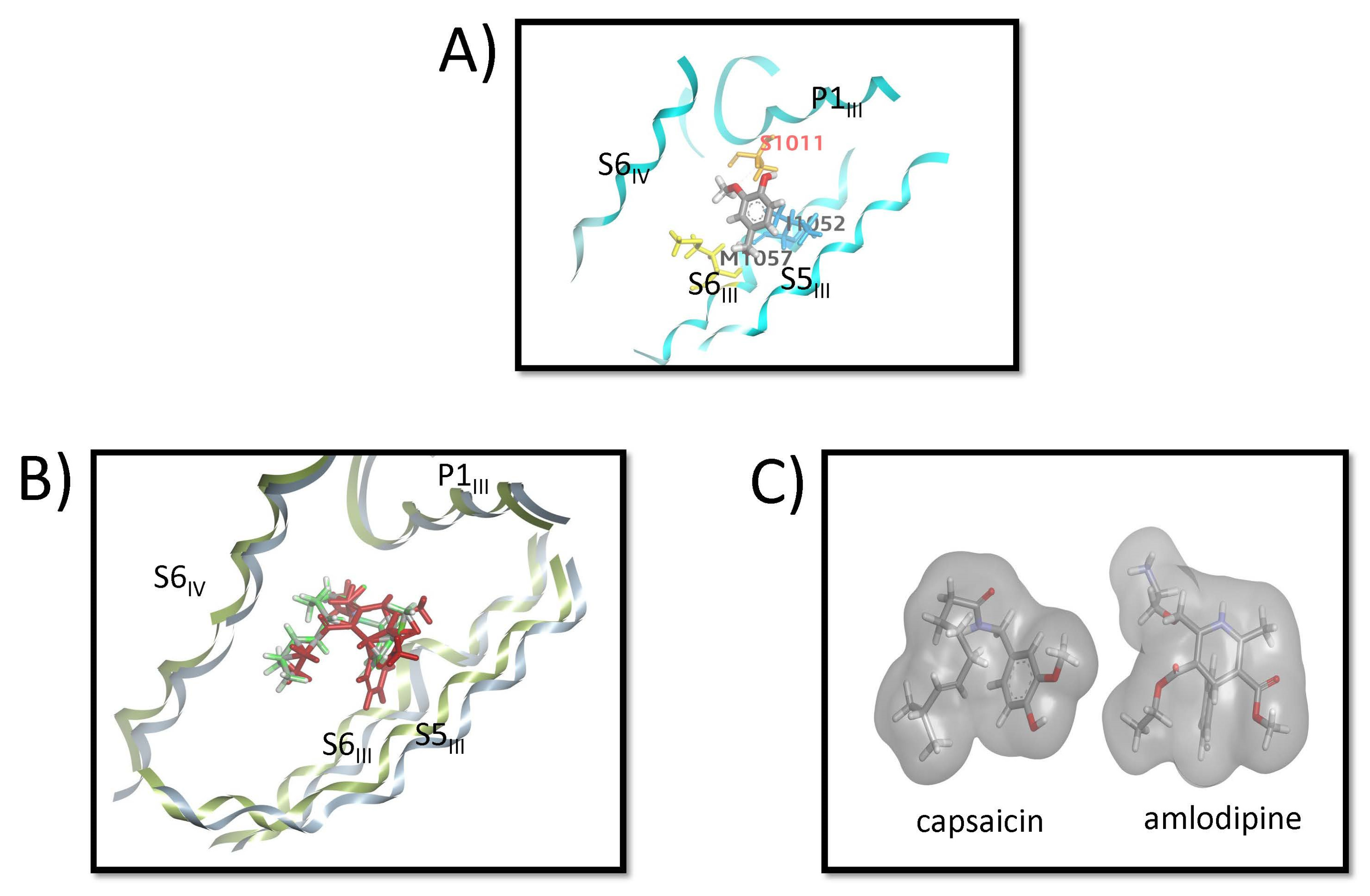 Biomolecules 16 00135 g007 Biomolecules 16 00135 g007