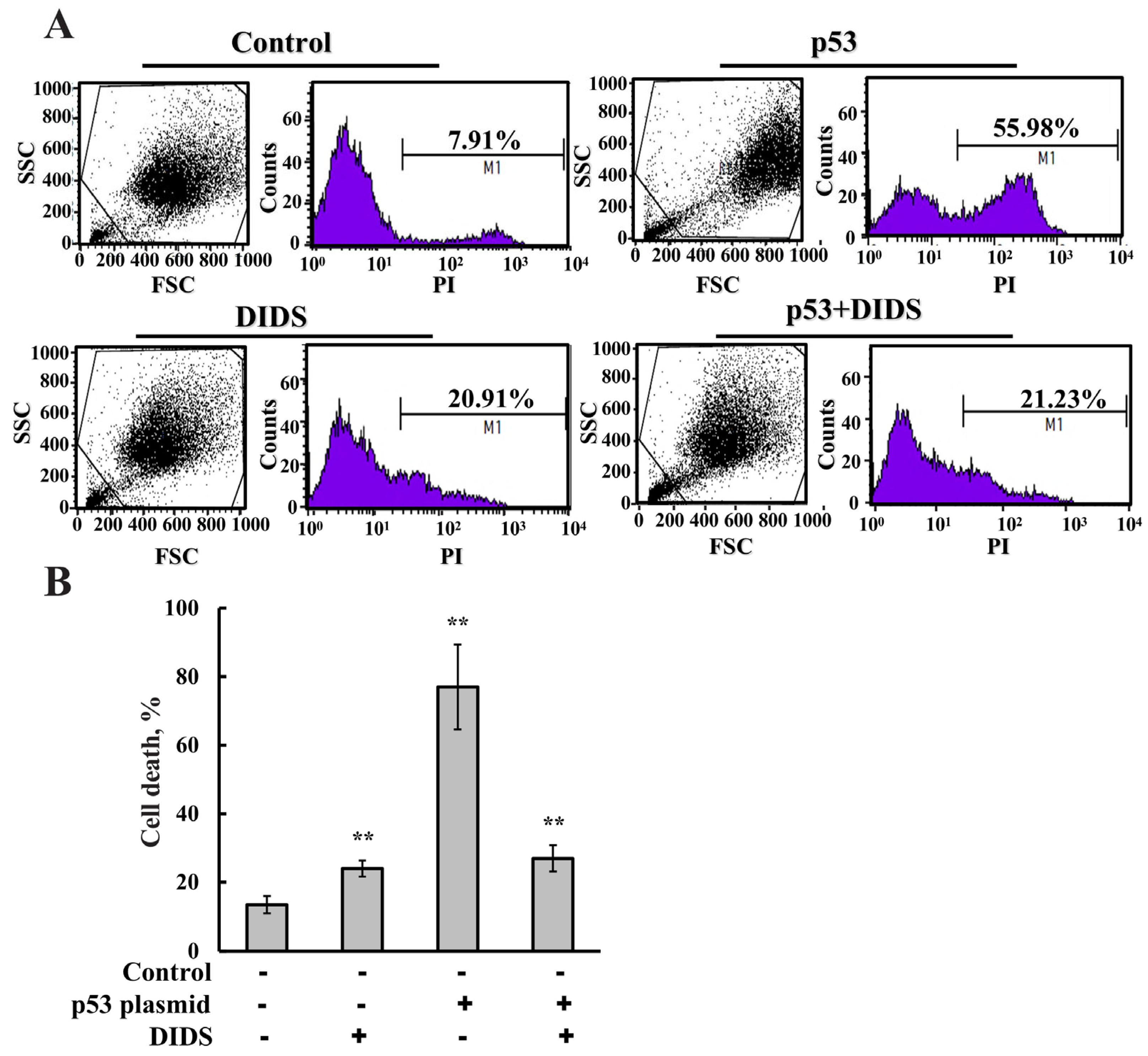 Biomolecules 16 00141 g004 Biomolecules 16 00141 g004