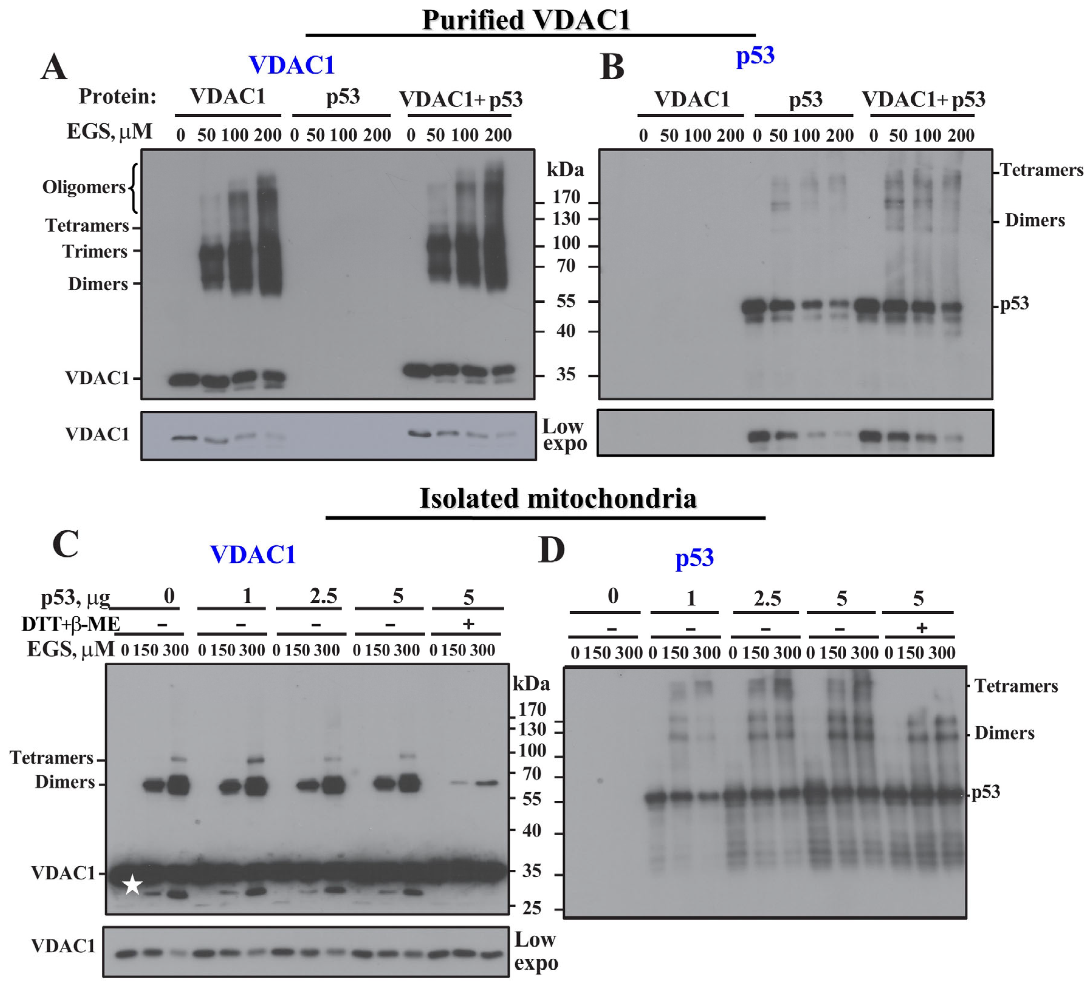 Biomolecules 16 00141 g005 Biomolecules 16 00141 g005